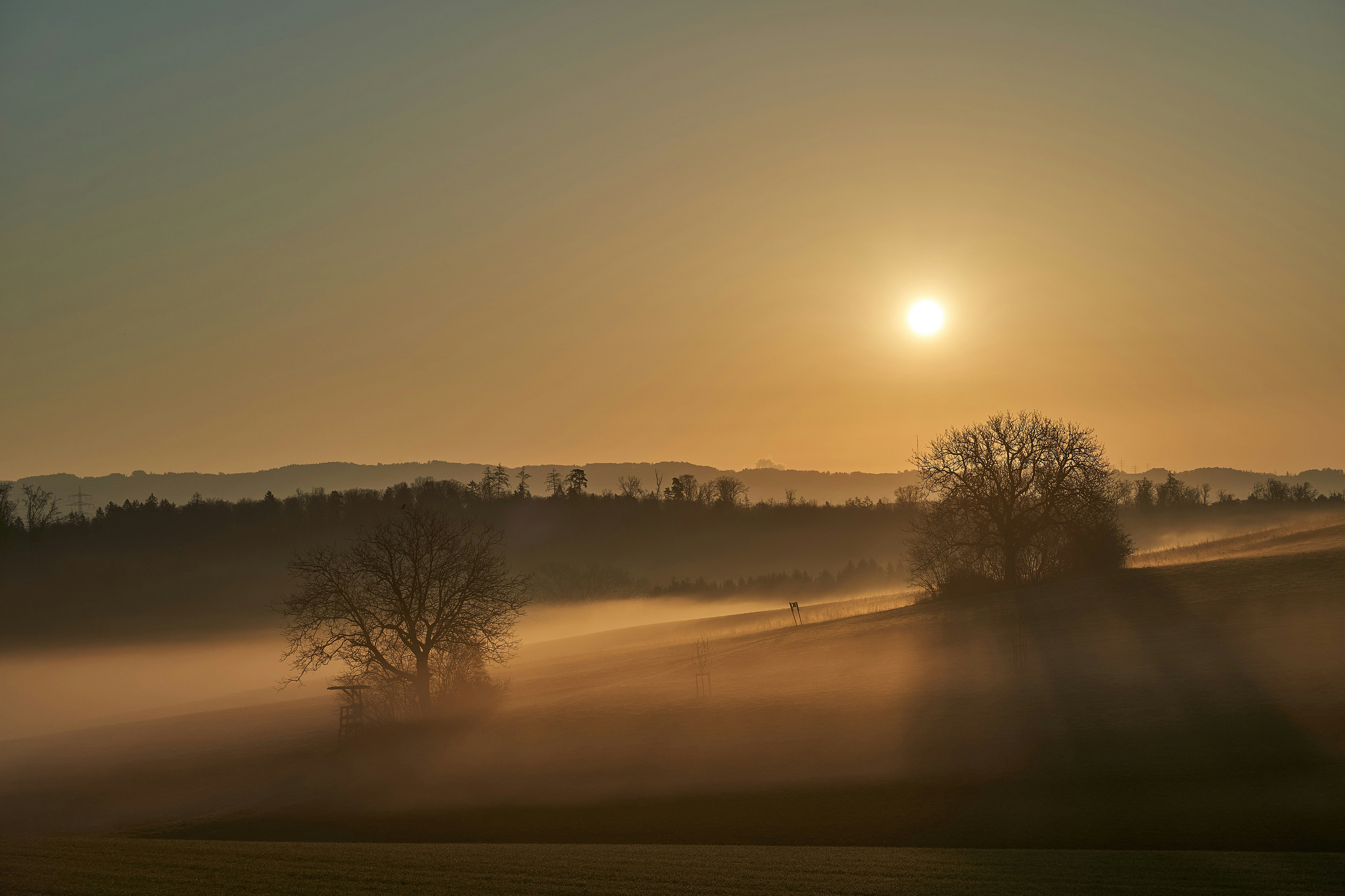 Photo by wolfgang_hasselmann