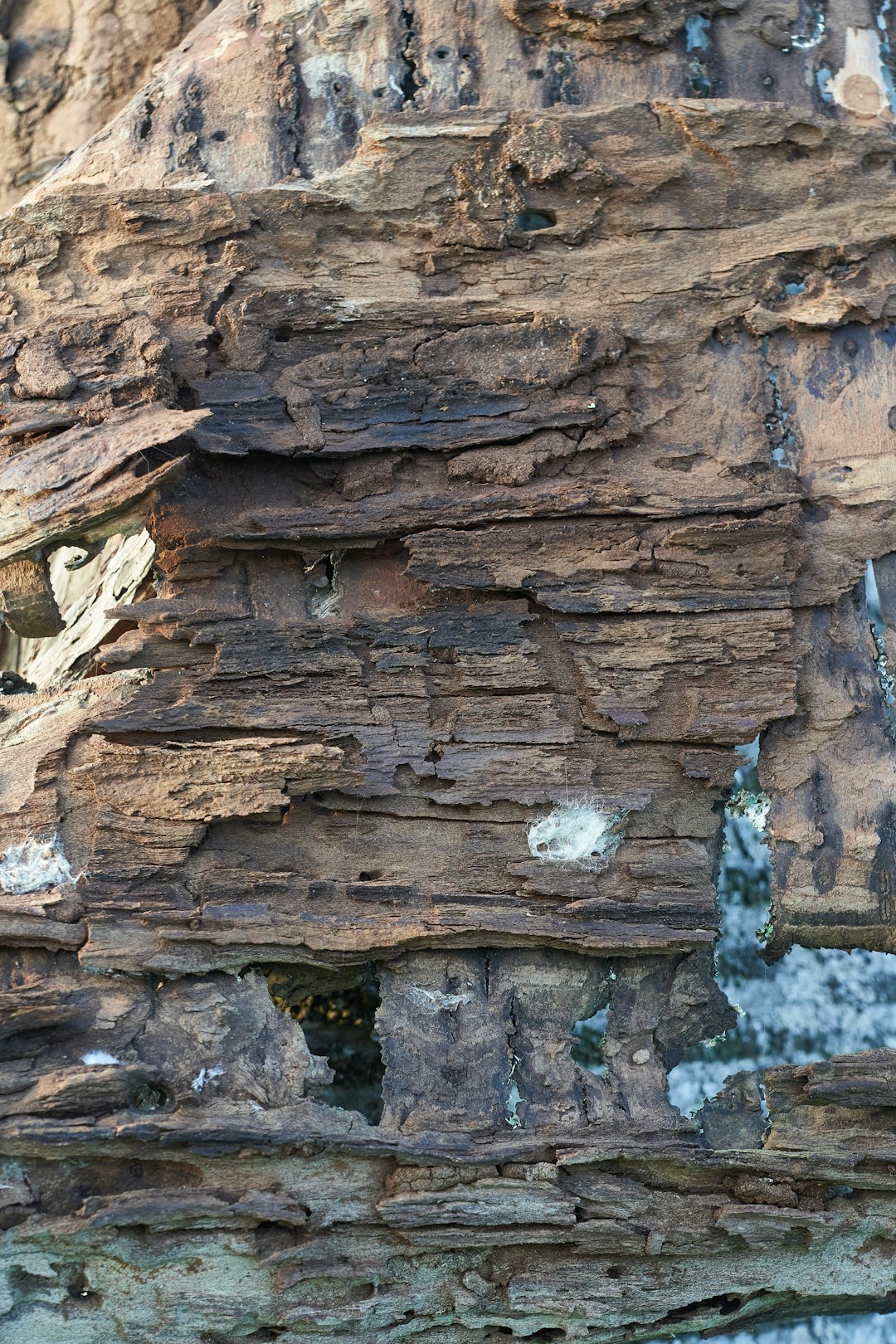 brown and gray rock formation