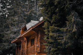 brown wooden house near green trees during daytime