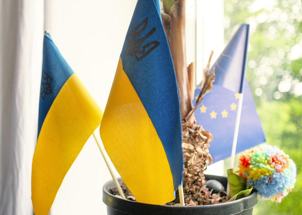 blue and yellow flag beside brown and white stones