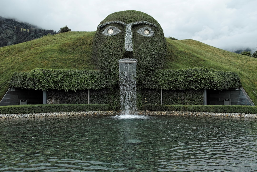 green grass field near water fountain