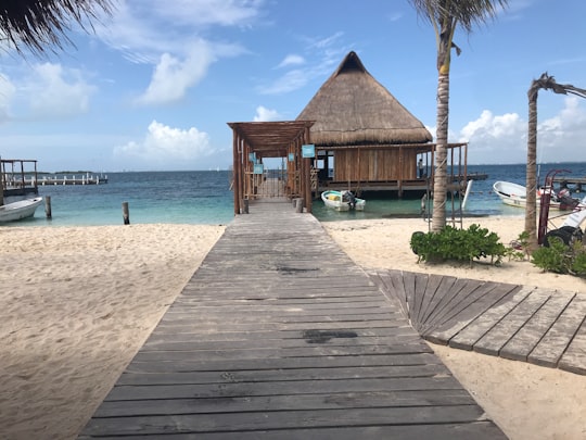 brown wooden house on beach during daytime in Isla Mujeres Mexico