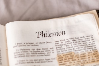 white printer paper on white textile