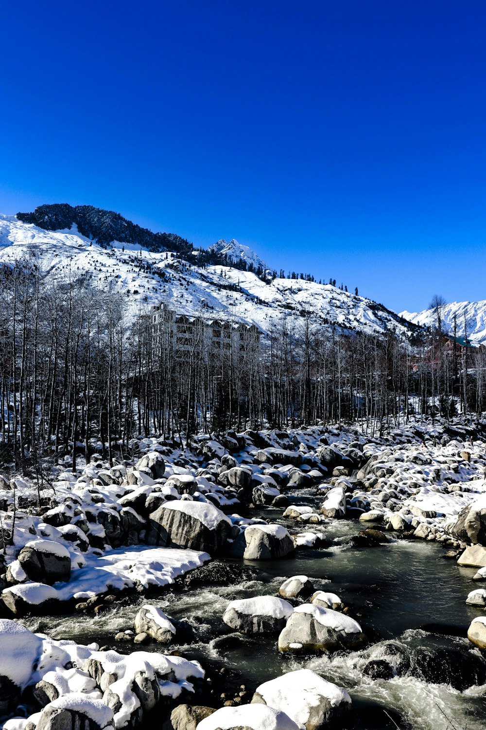 昼間の川近くの灰色のロッキー山脈