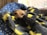 A small dog is nestled comfortably under a cozy blanket with a lightning bolt pattern. The blanket is predominantly grey with bright yellow accents. The dog’s head is peeking out, resting against a blue blanket decorated with white snowflakes. Soft natural light filters through wooden blinds in the background, creating a warm and inviting atmosphere.