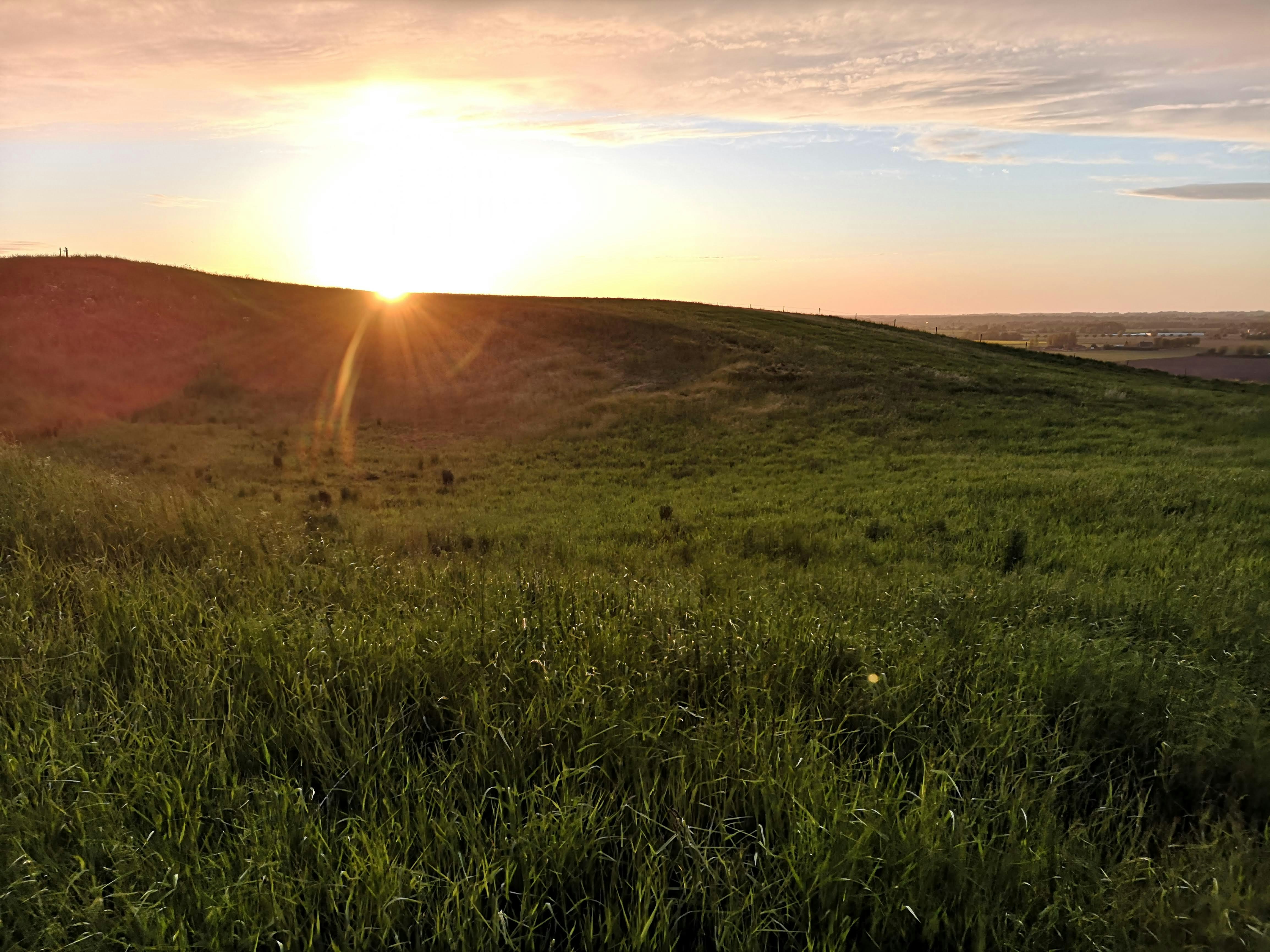 green grass field during sunset