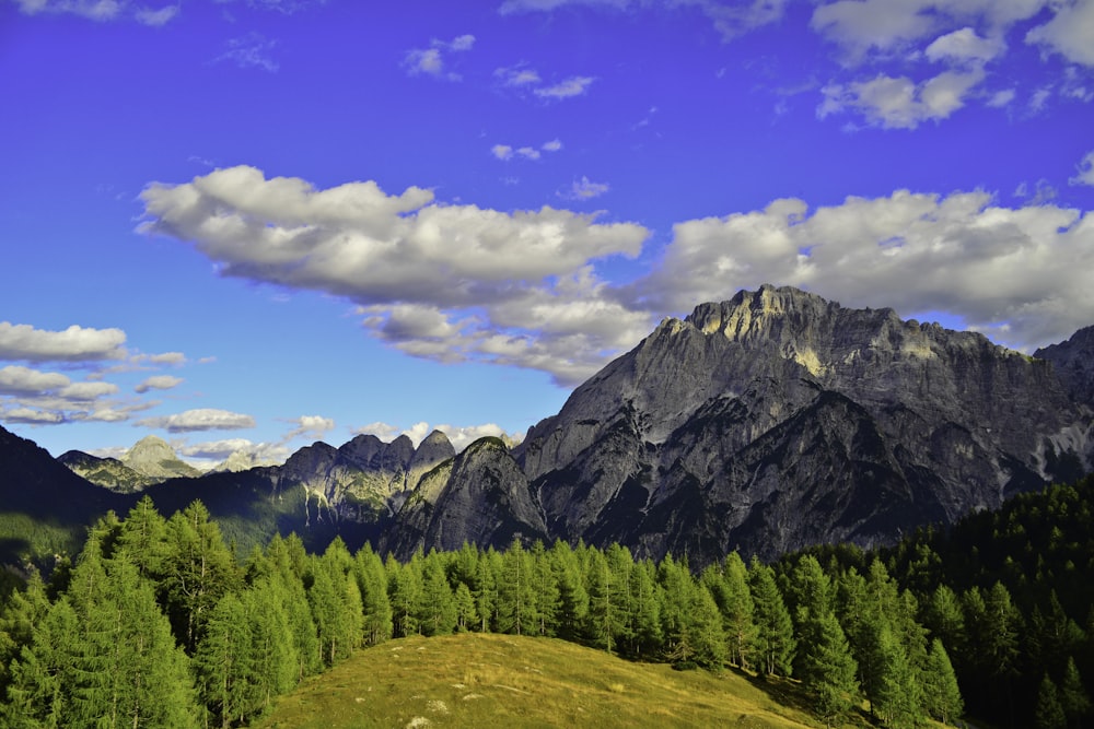 green trees and mountain under blue sky and white clouds during daytime