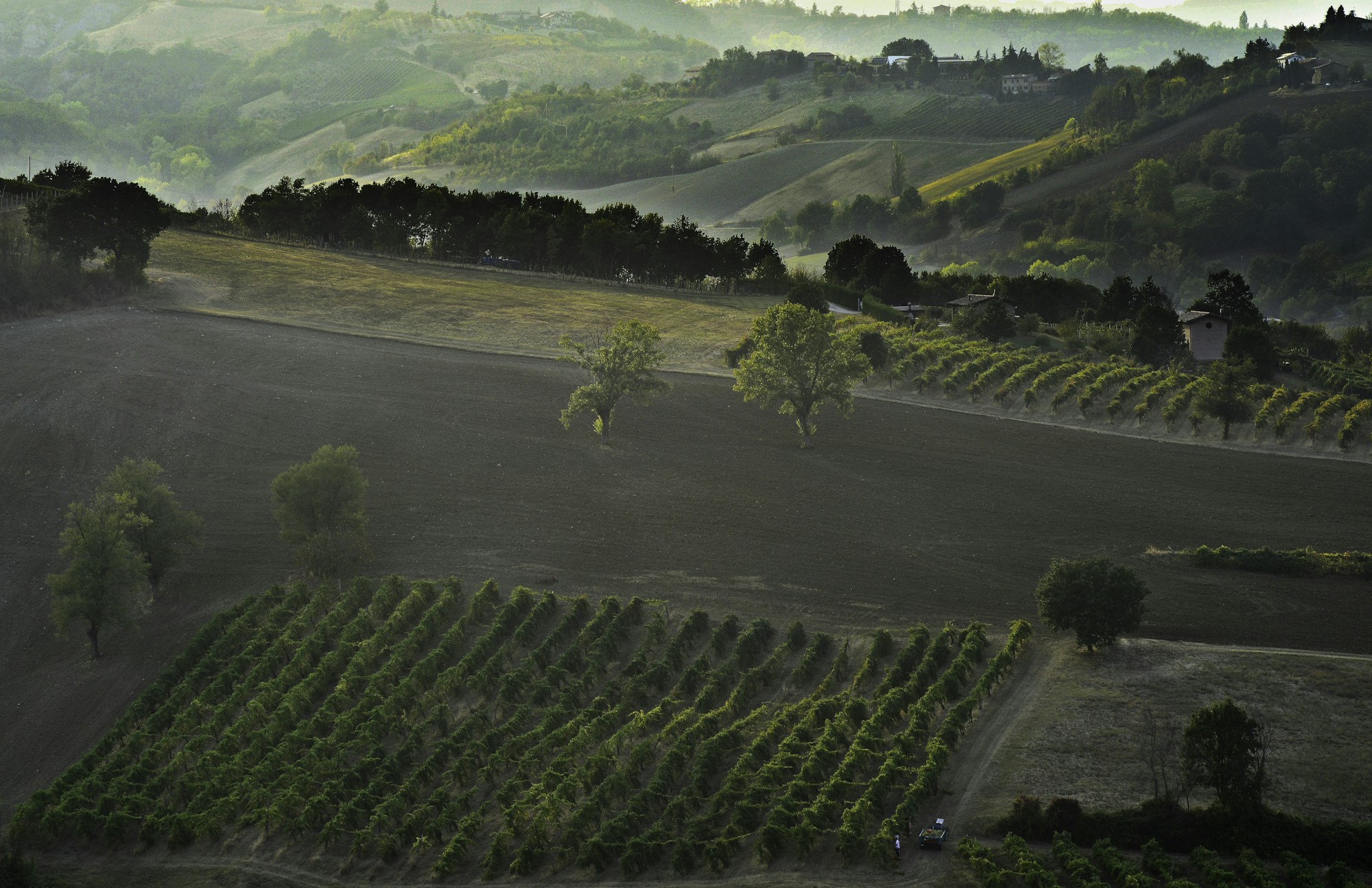 Discover Modena: A Travel Guide for Exploring Italy's Historical Gem