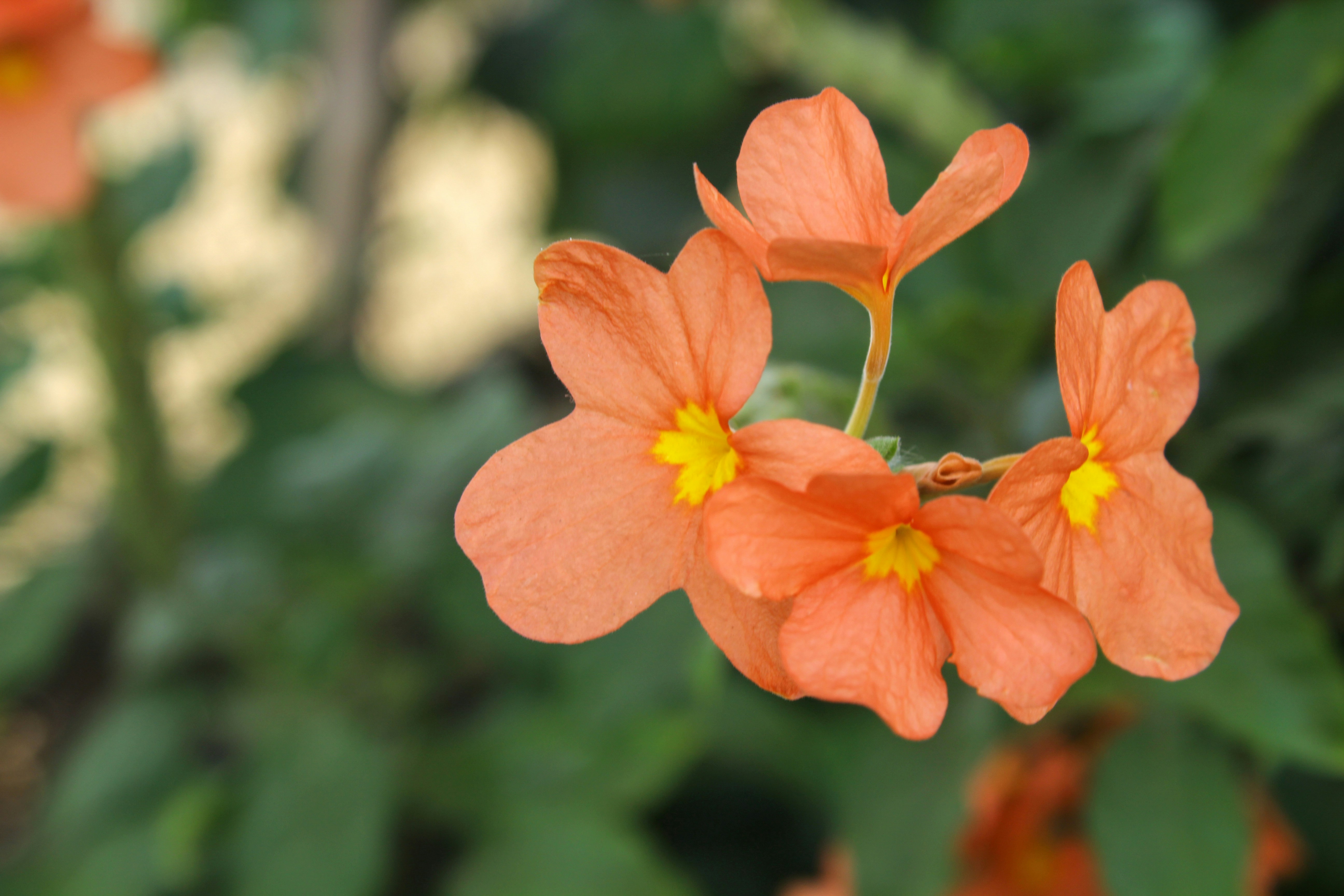 Photo by mumbaikar_rupesh