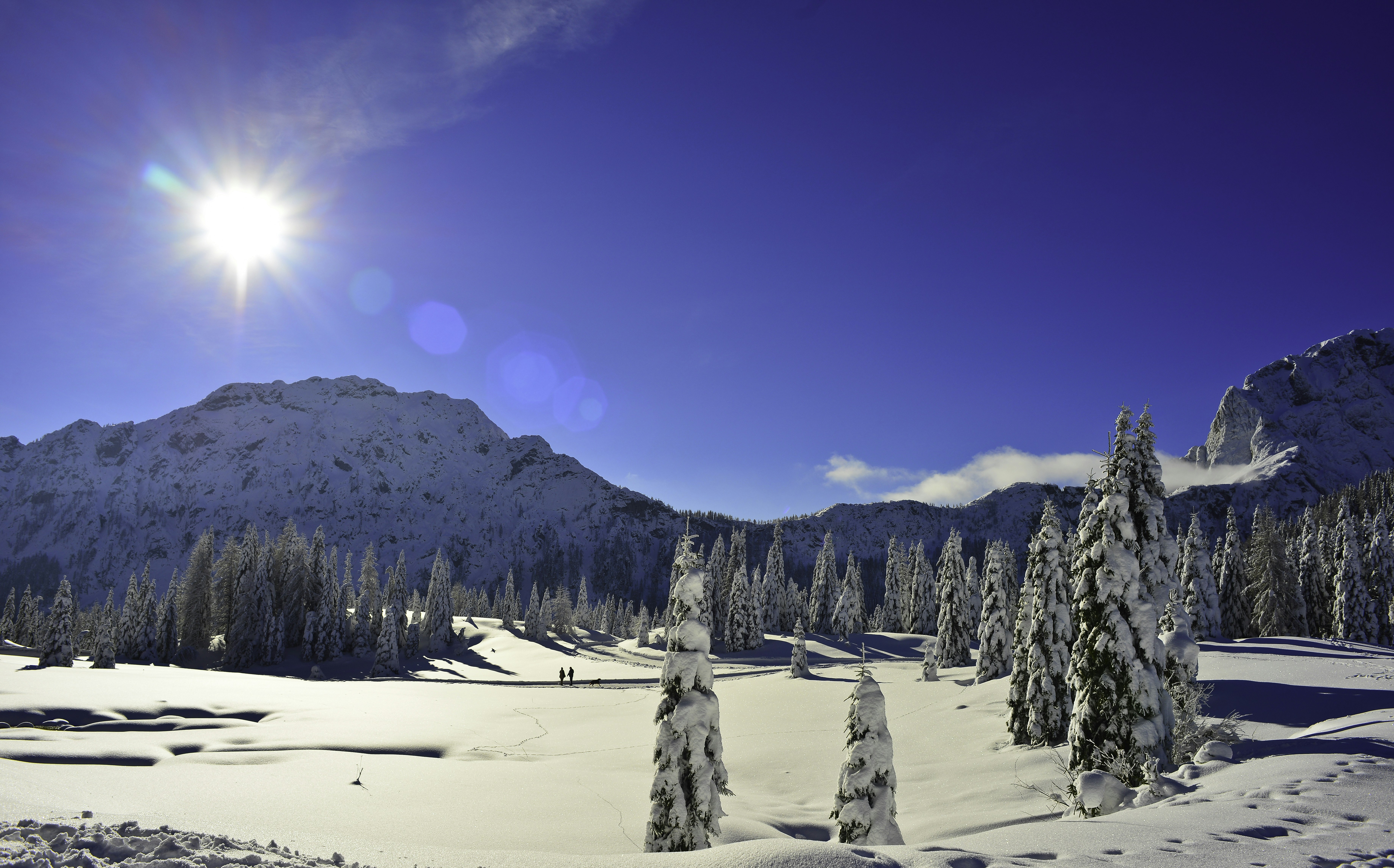 Photo by stefano_zocca