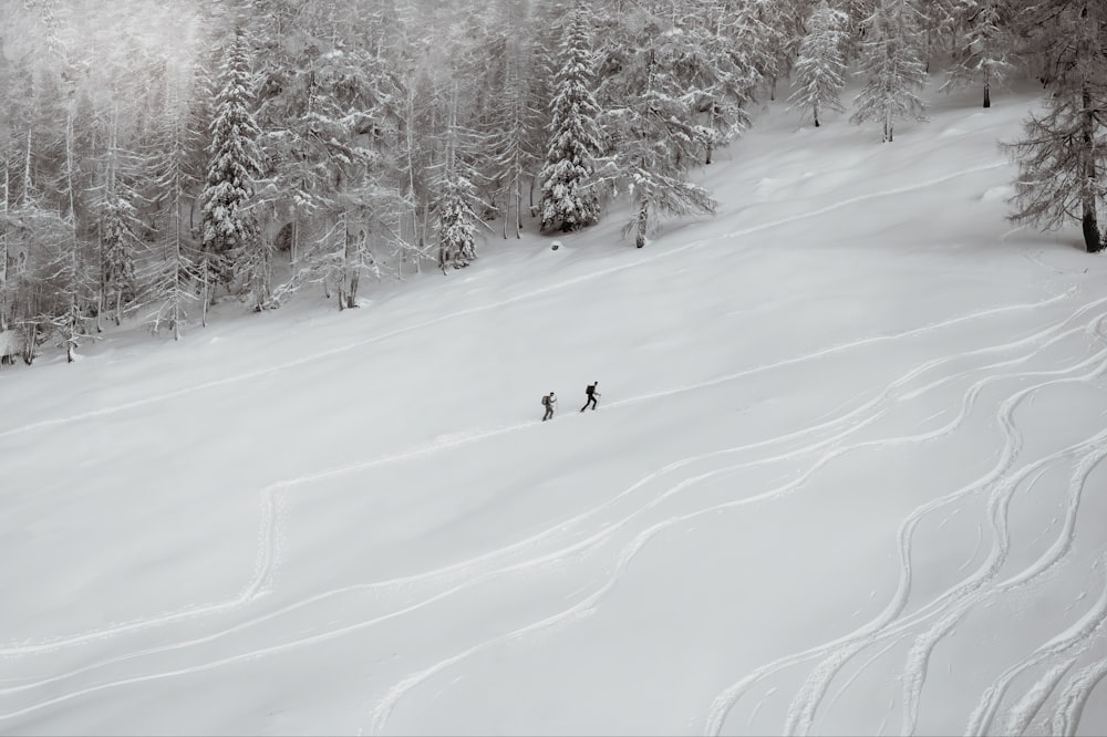 person riding ski board on snow covered ground during daytime