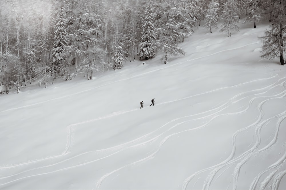 昼間、雪に覆われた地面でスキーボードに乗る人