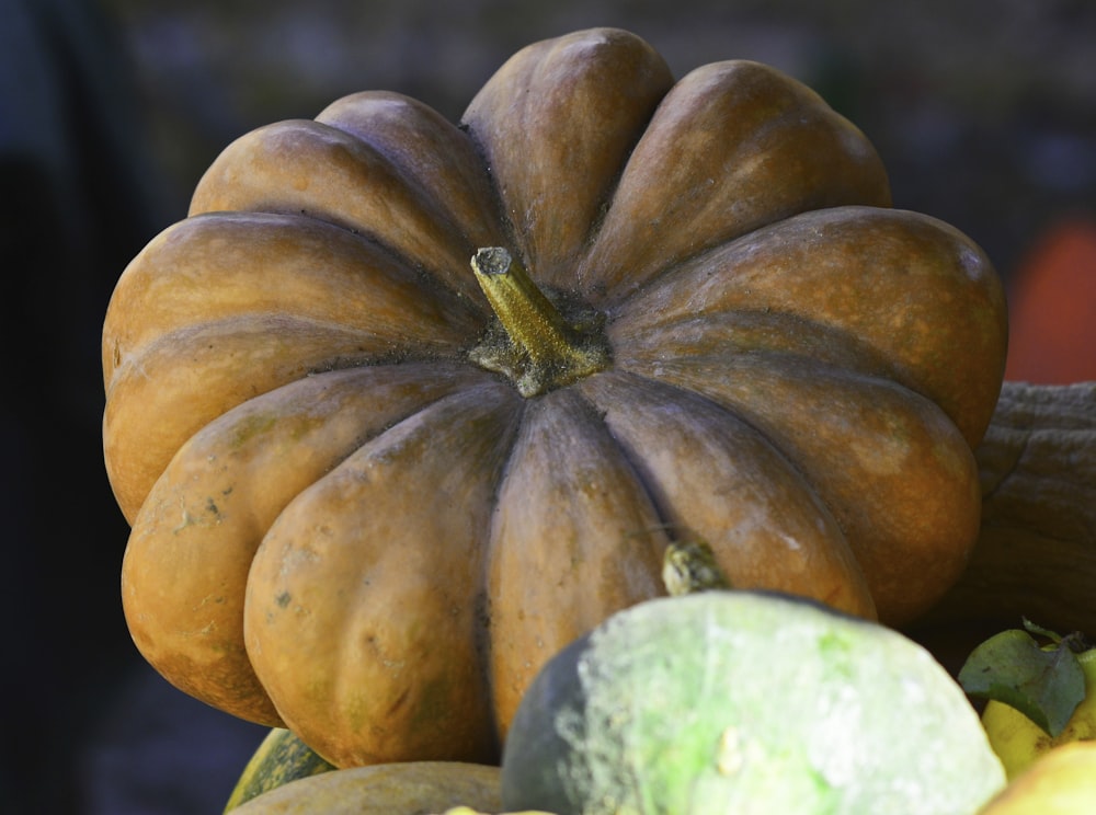 green and orange pumpkin in close up photography