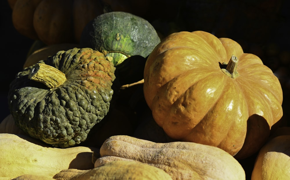 abóbora verde e laranja ao lado de rochas marrons e cinzas