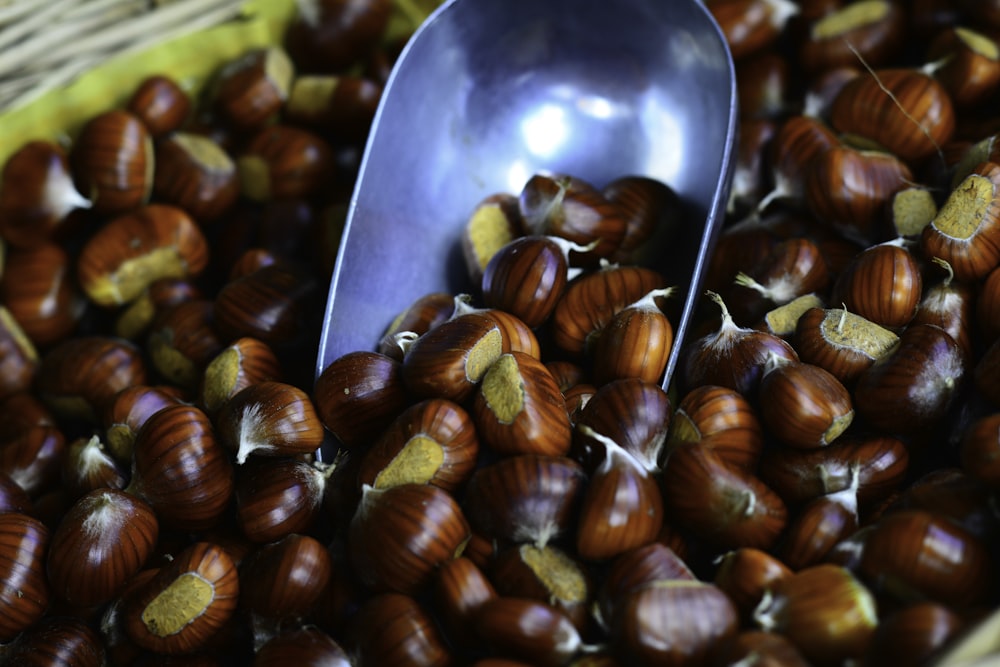 brown and white round fruit