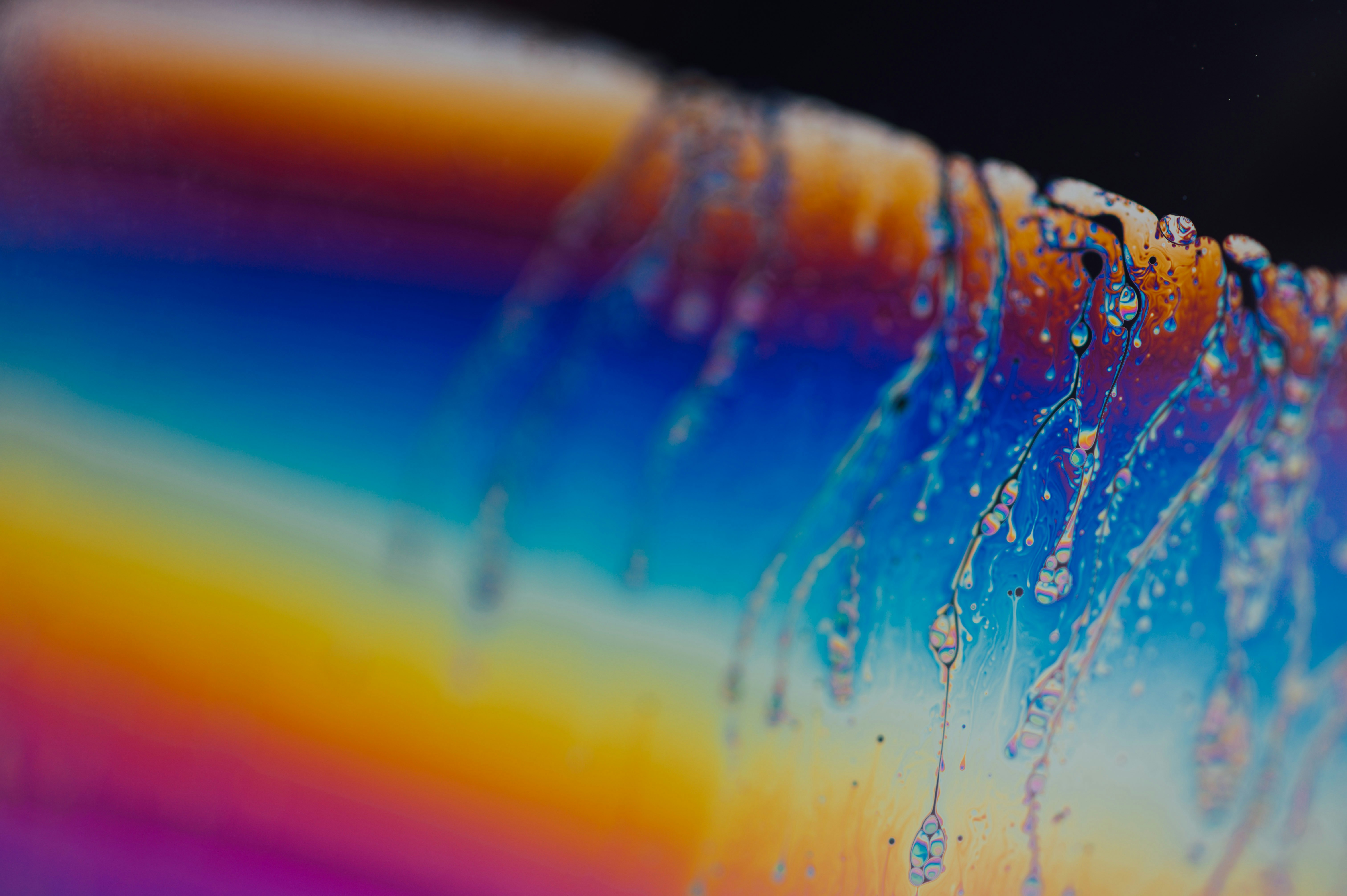 Photo by chuttersnap