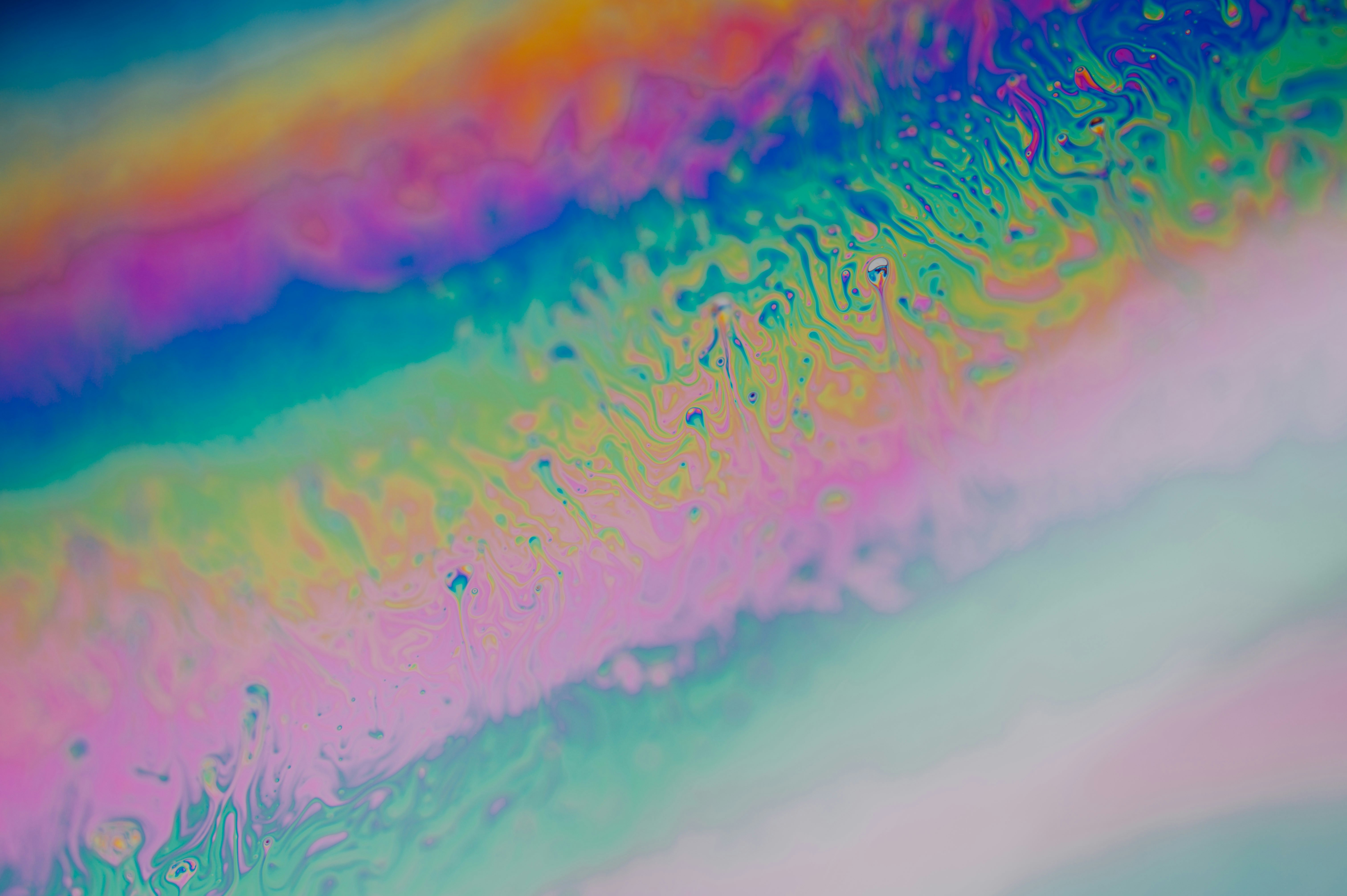 Photo by chuttersnap