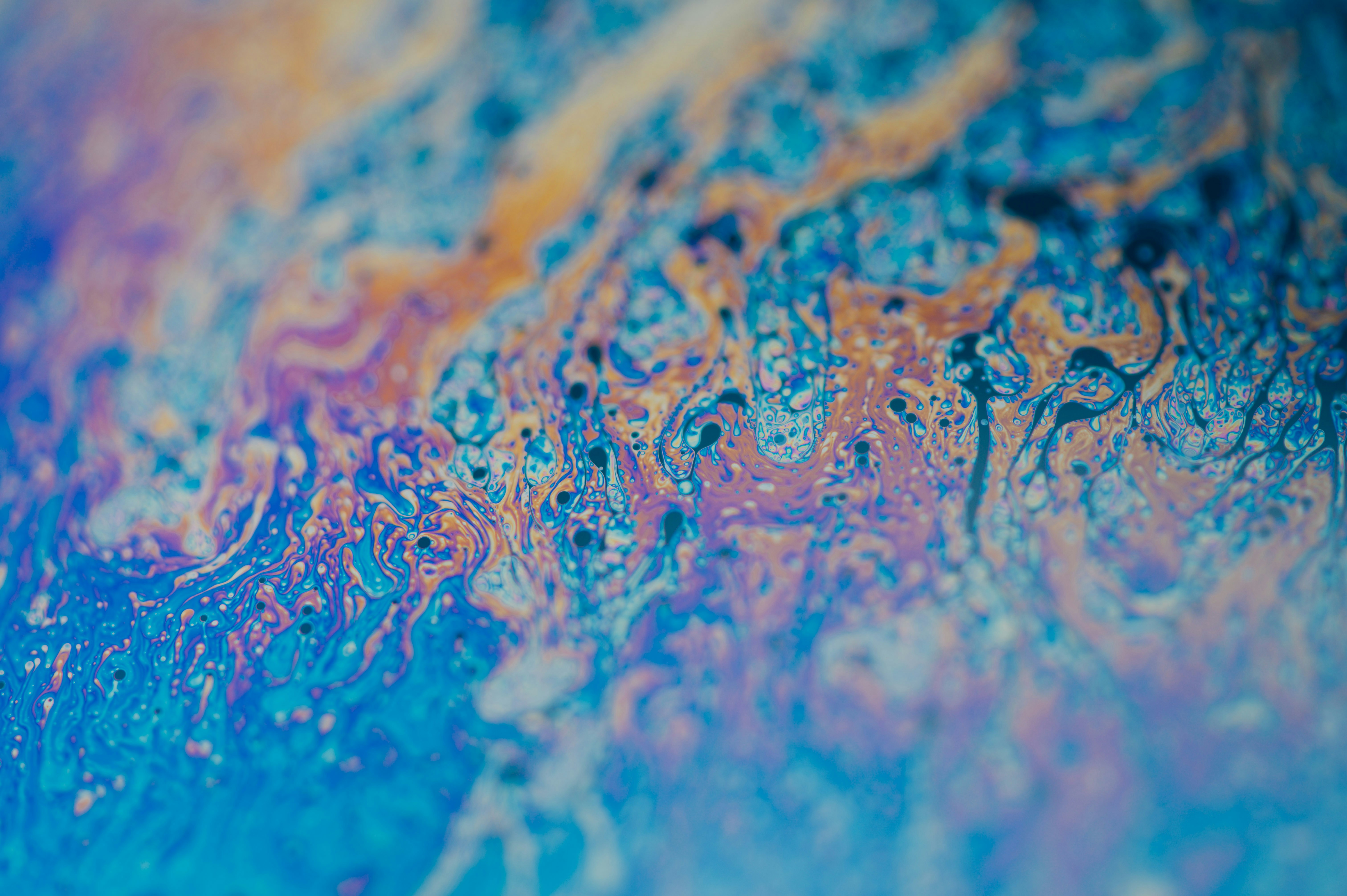 Photo by chuttersnap