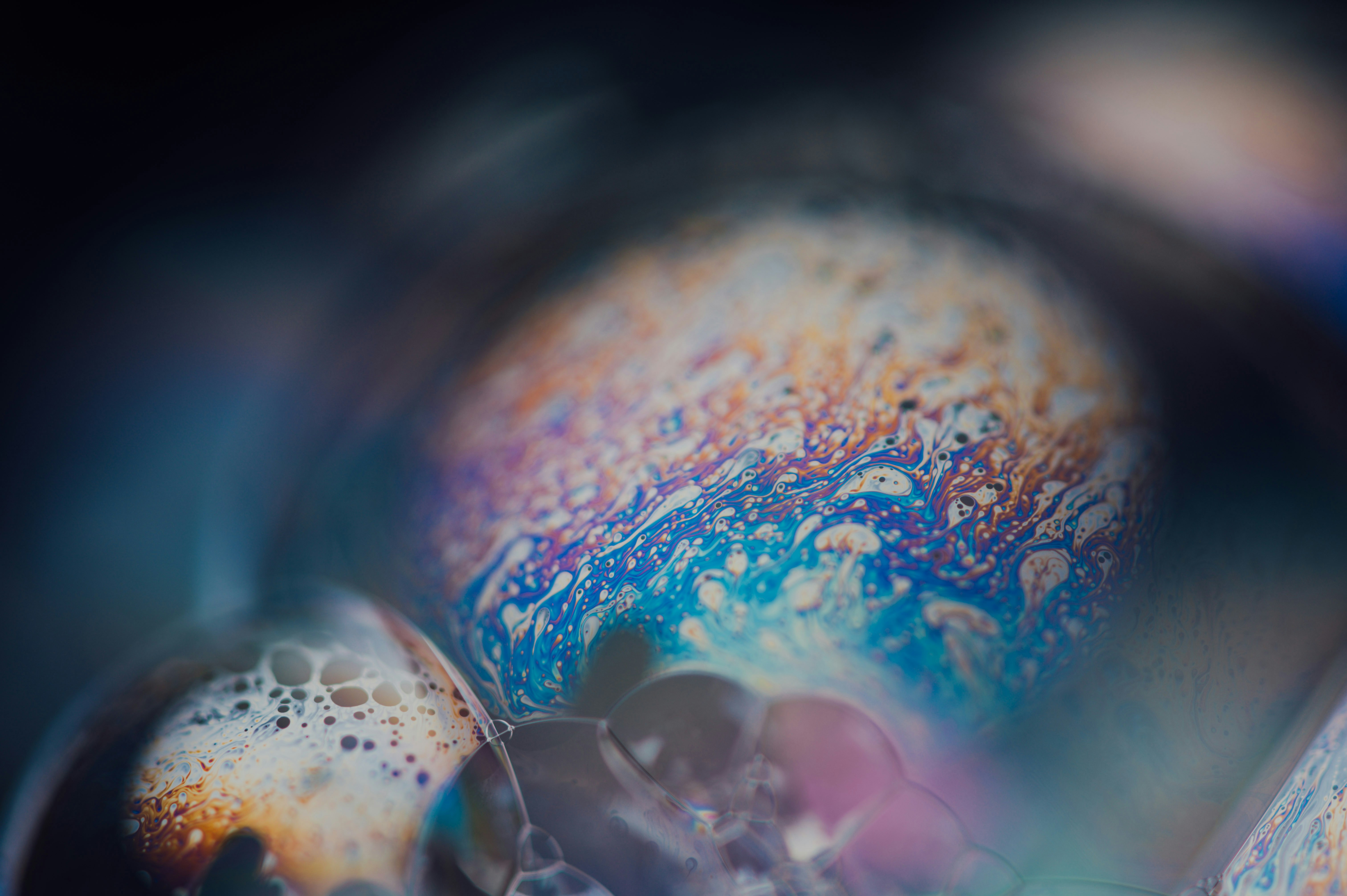 Photo by chuttersnap