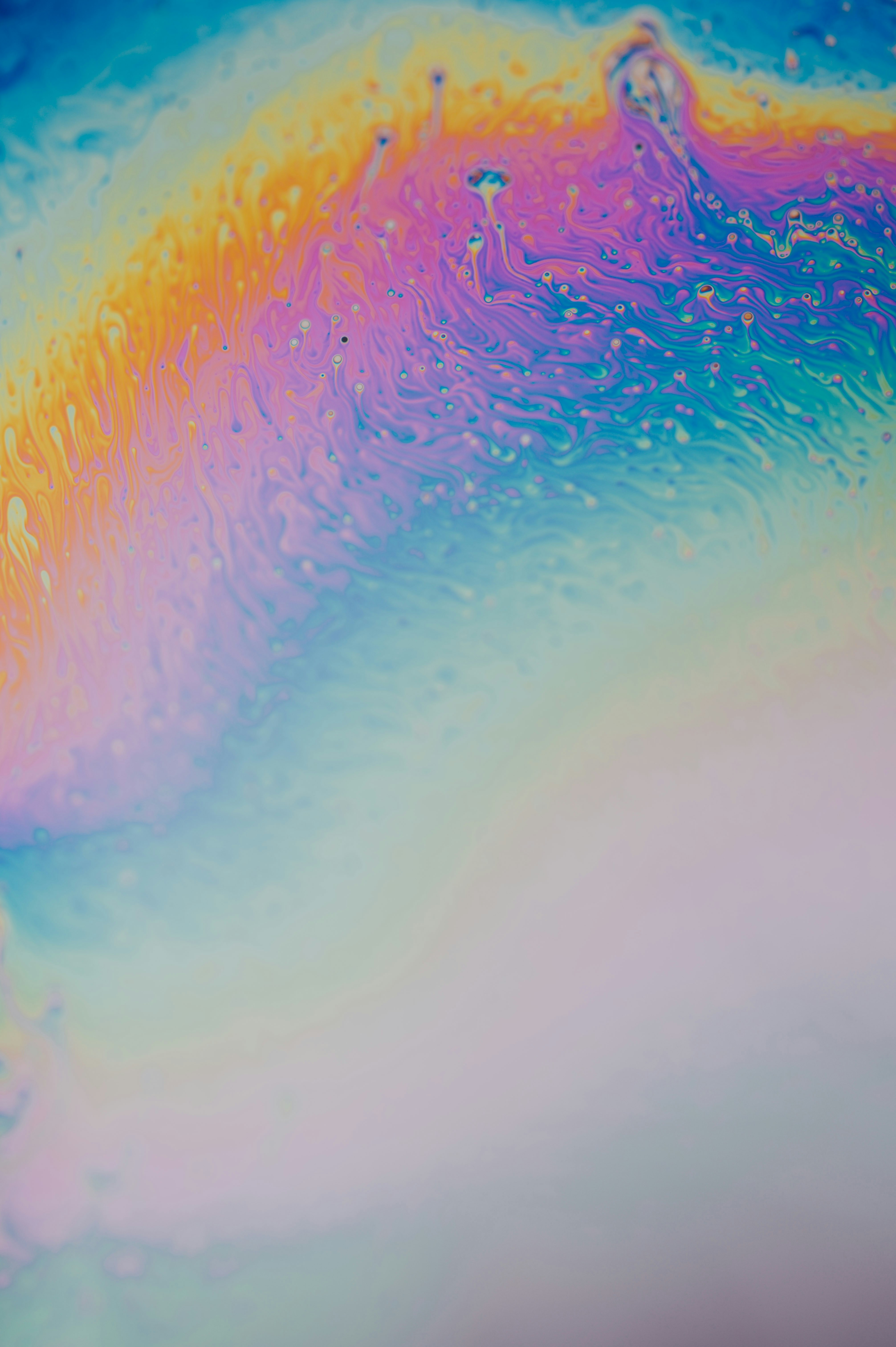 Photo by chuttersnap