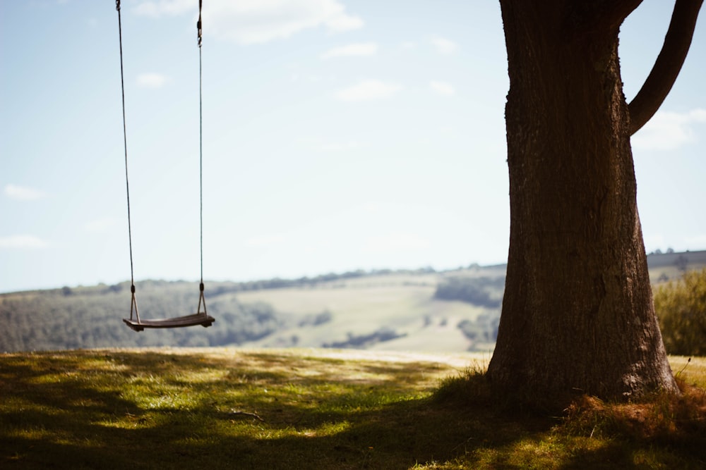 brown wooden swing on green grass field during daytime