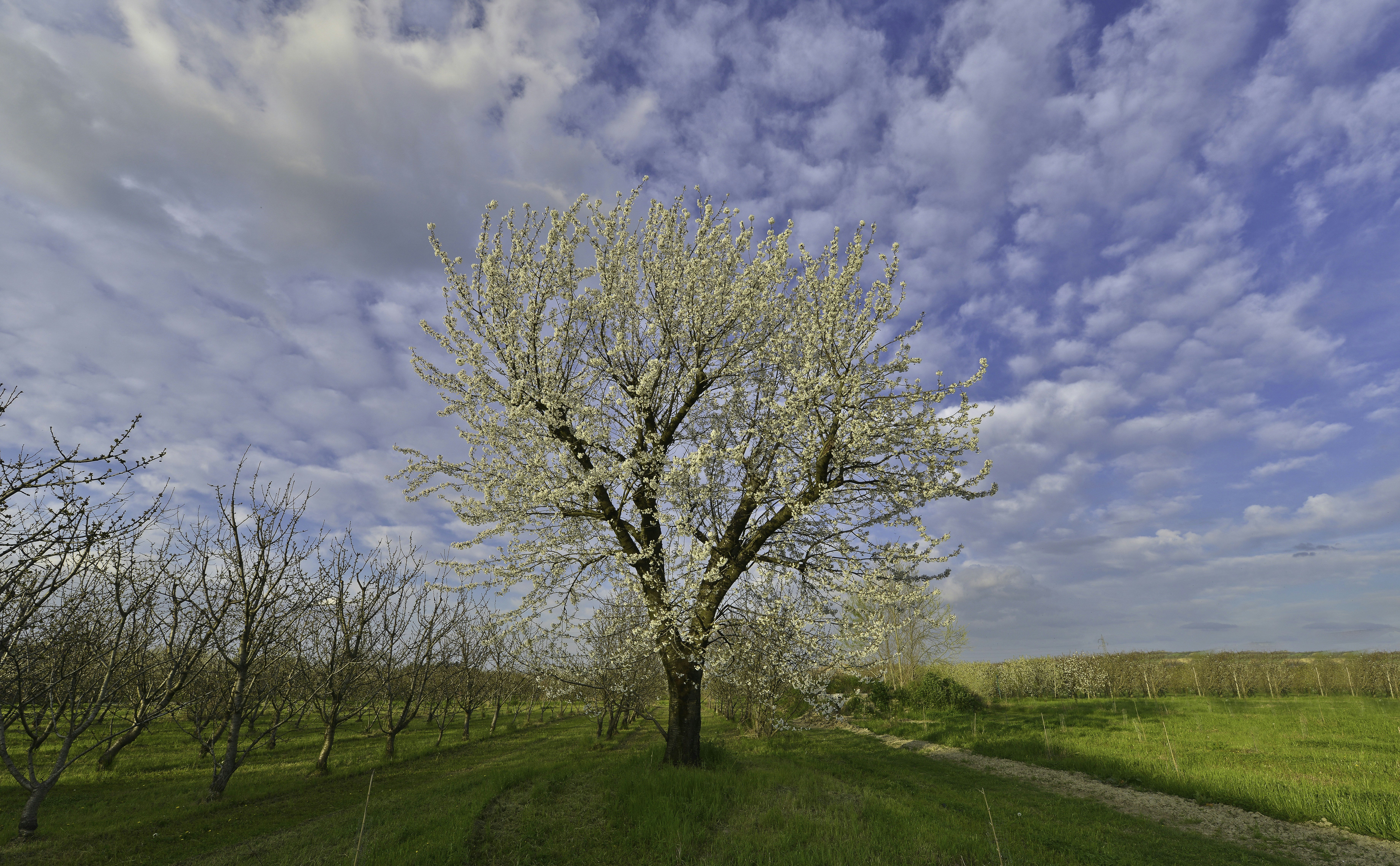 Photo by stefano_zocca