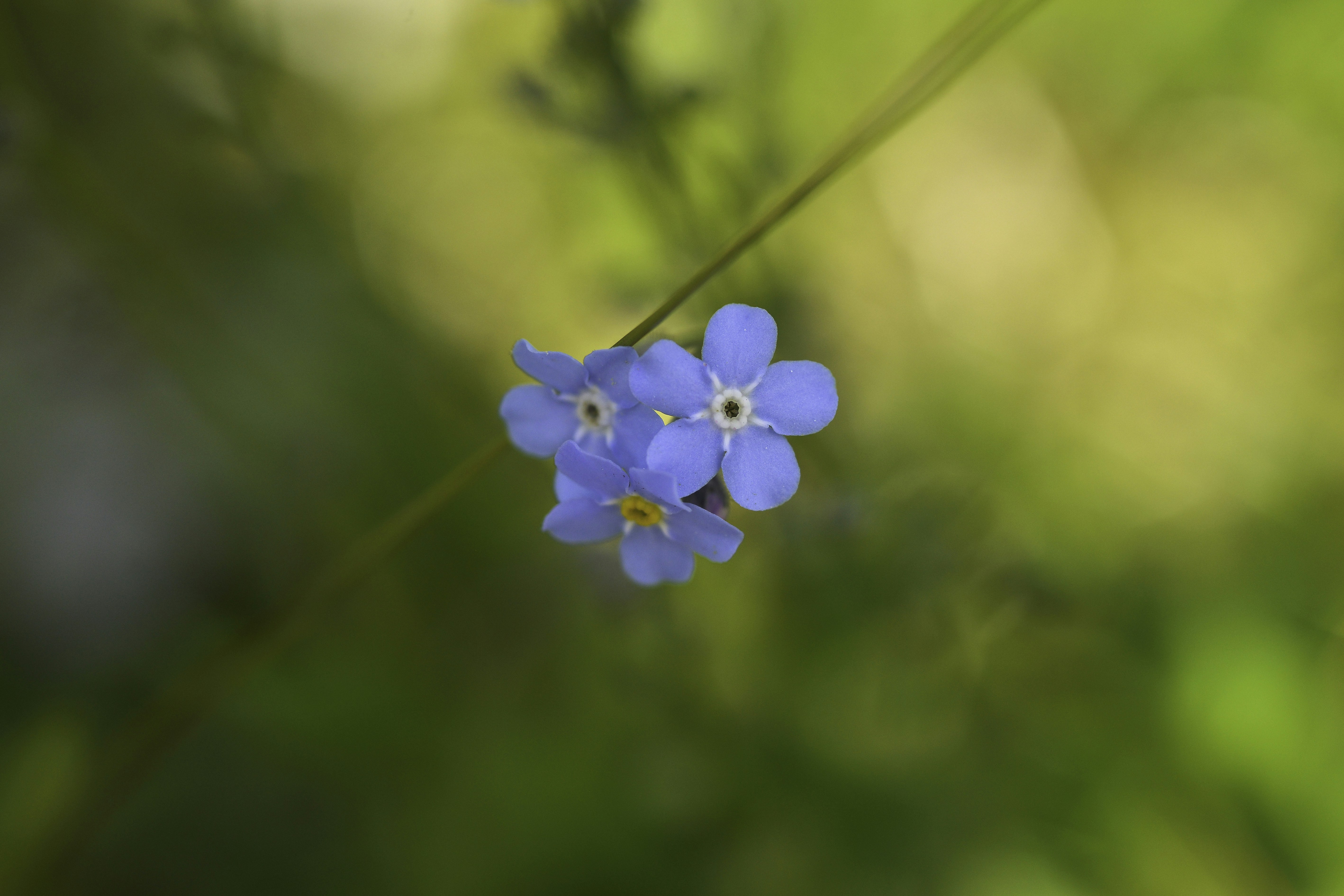 Photo by stefano_zocca