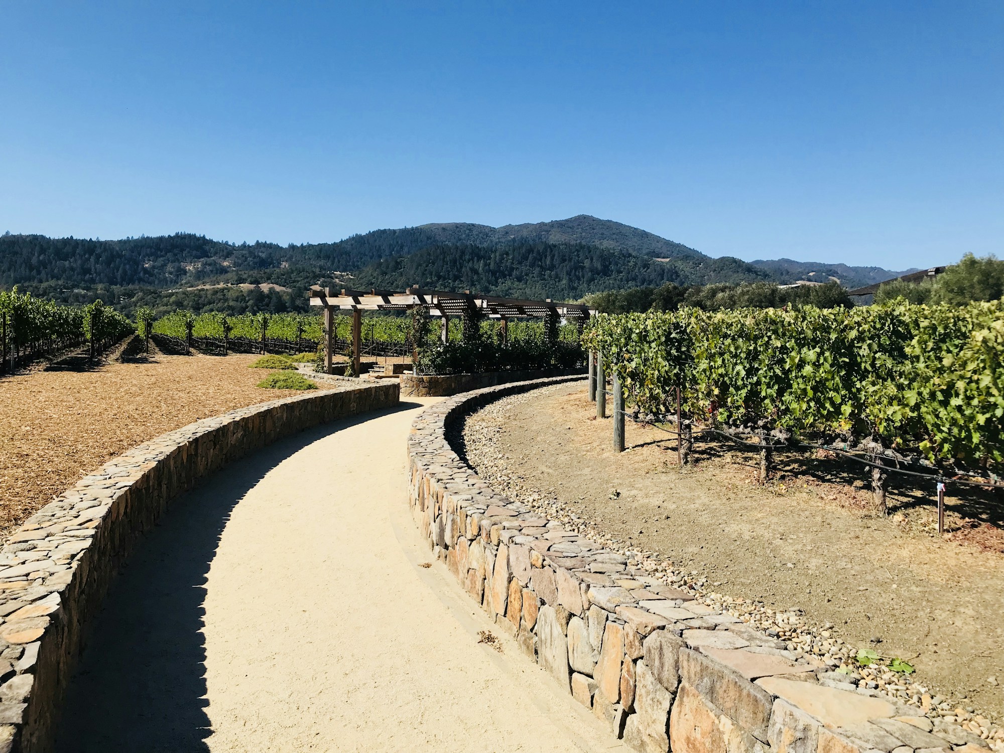 Napa Weather and Best Times to Visit
