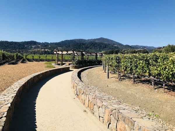 Napa Weather and Best Times to Visit