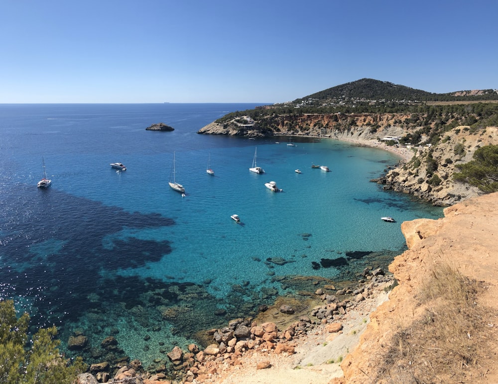 people swimming on sea during daytime