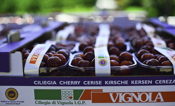 What to See in Vignola: A Local Travel Guide