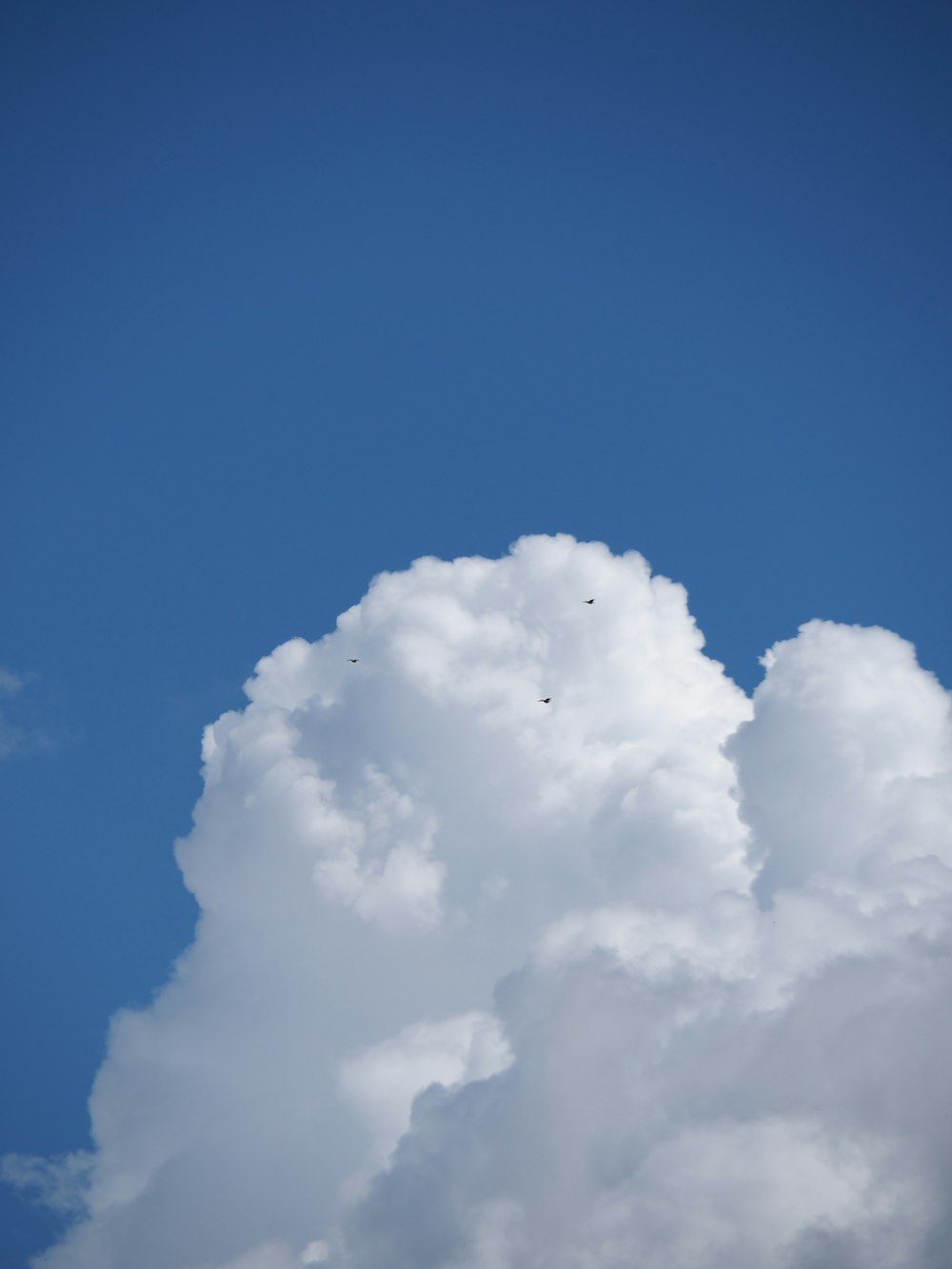 昼間の青空に白い雲