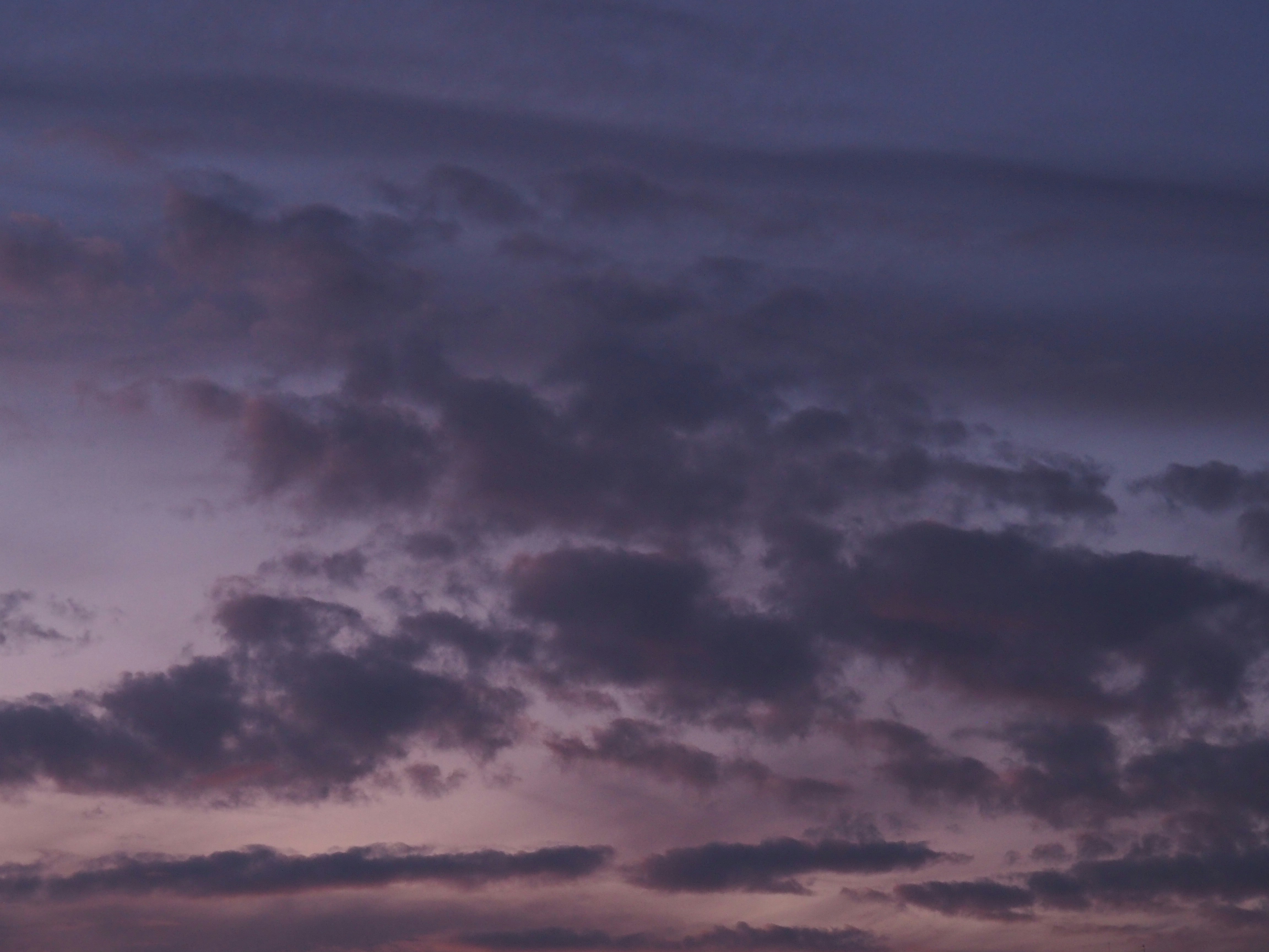 Photo by nimbus_vulpis