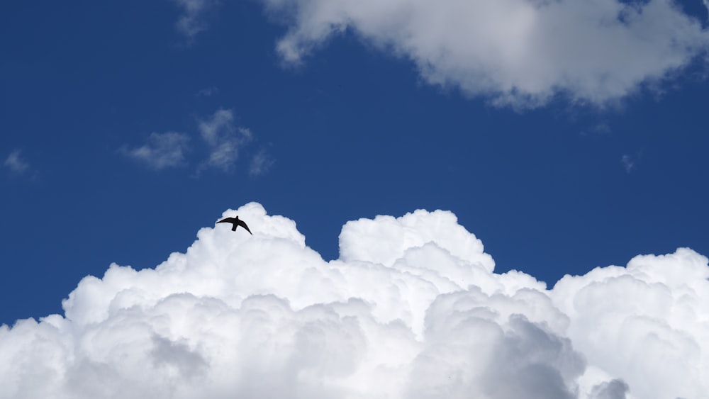 white clouds and blue sky during daytime