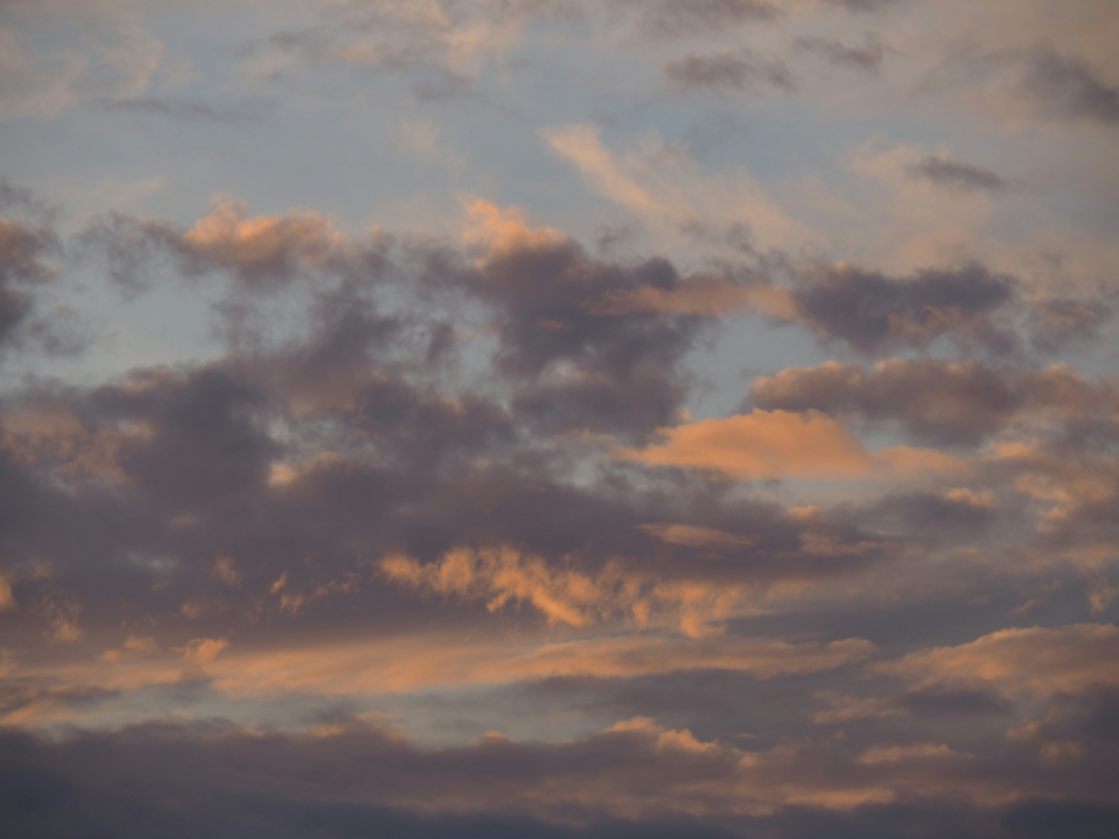 Photo by nimbus_vulpis