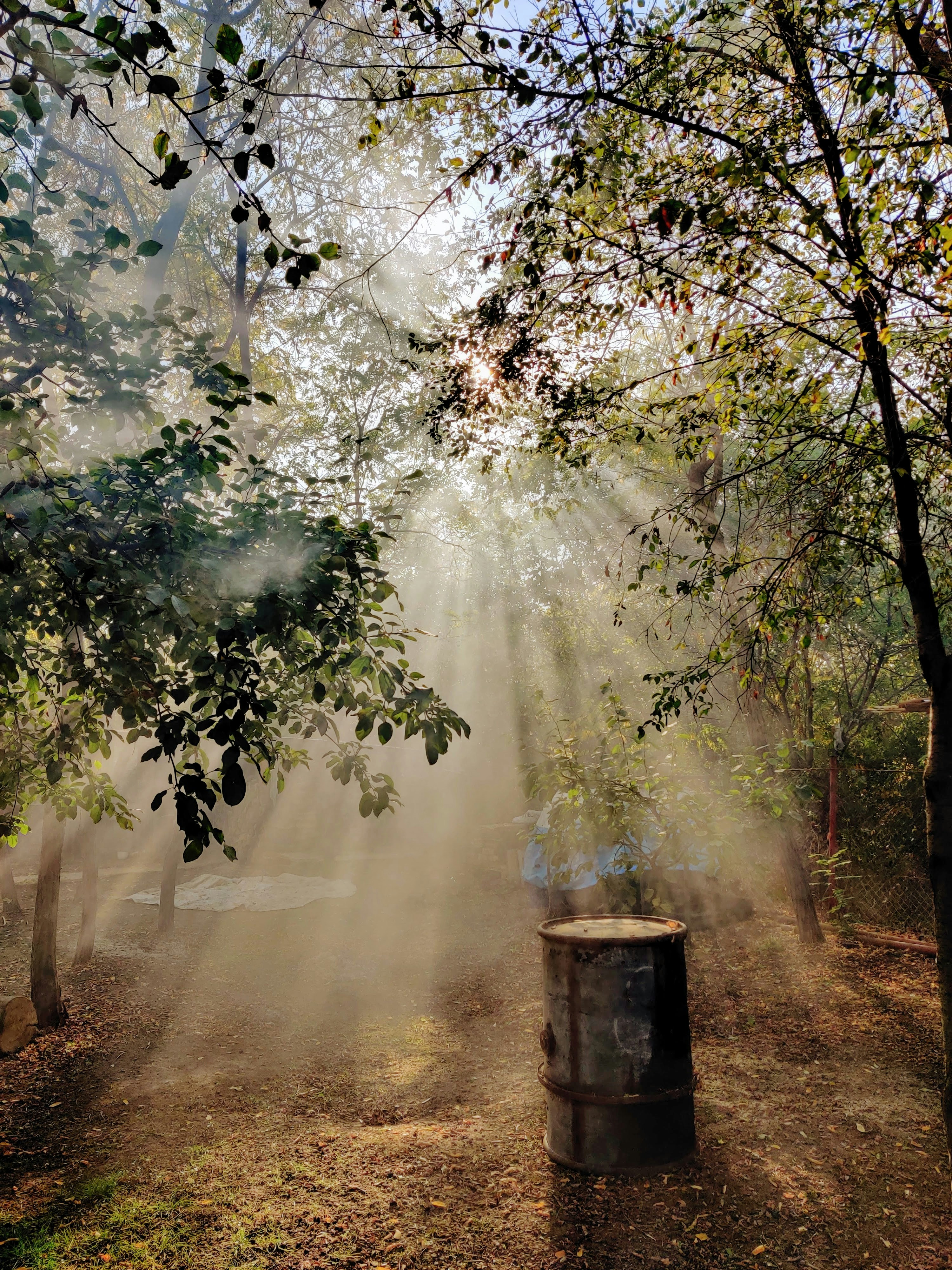 Photo by croweltmedia