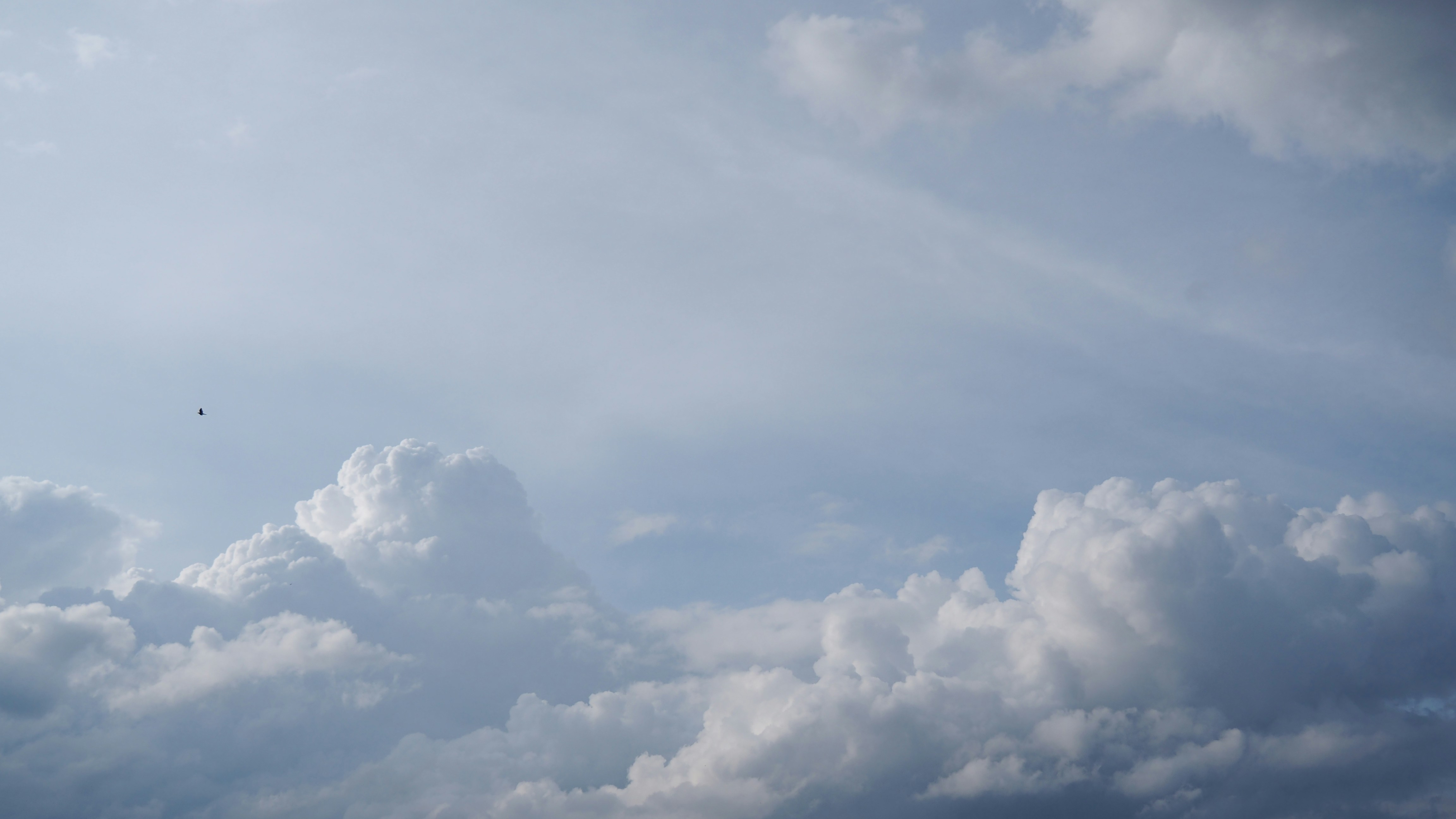 Photo by nimbus_vulpis