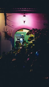 A warmly lit entryway with a vintage lantern hanging above, casting soft shadows on the walls. Lush plants partially obscure the view of a cozy interior, where additional lighting creates a welcoming ambiance. The colors of the house and plants blend harmoniously with the ambient light.