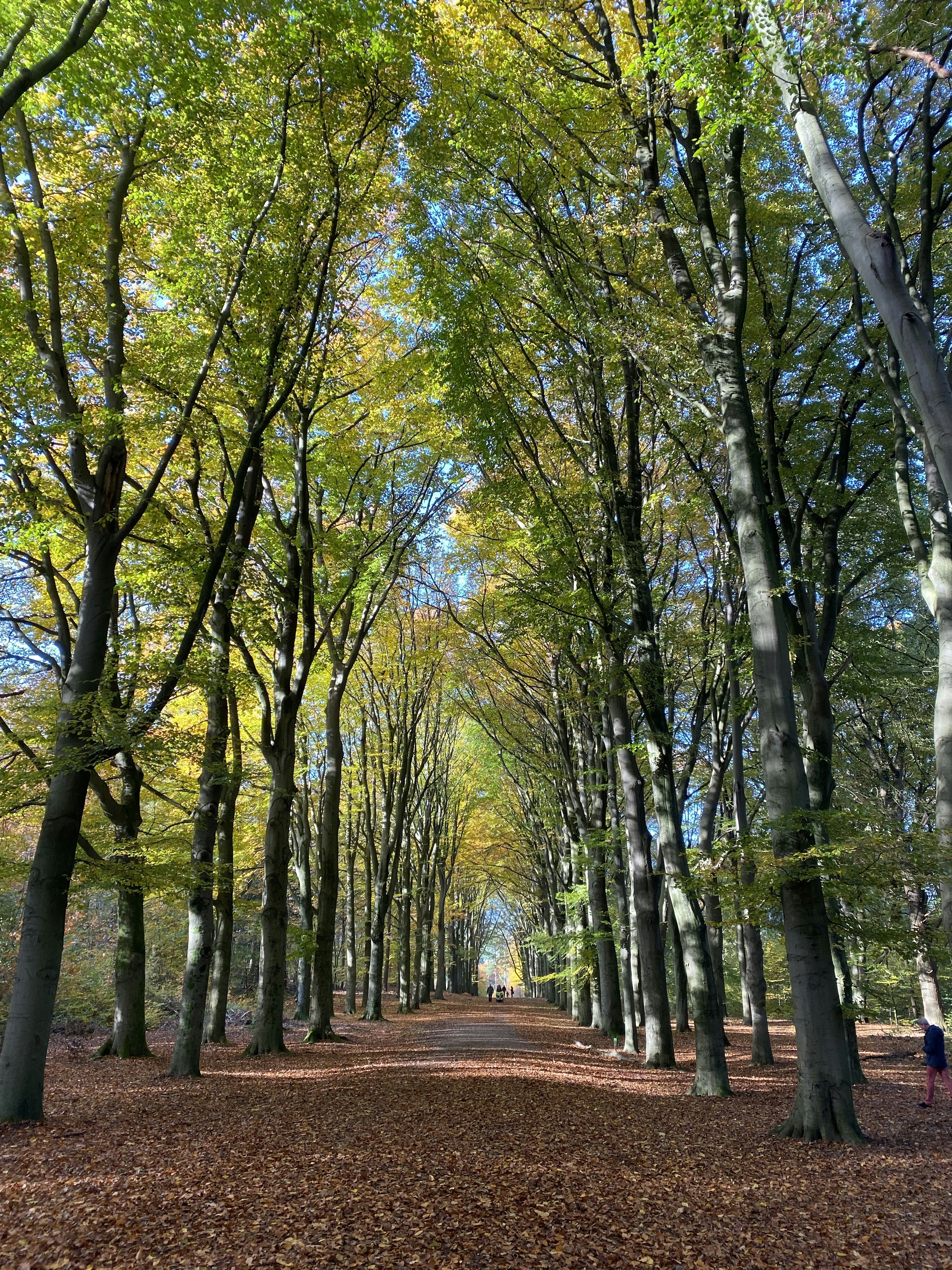 Photo by avanveldhuizen