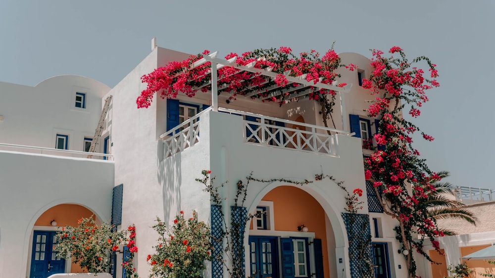 white concrete building with pink flowers