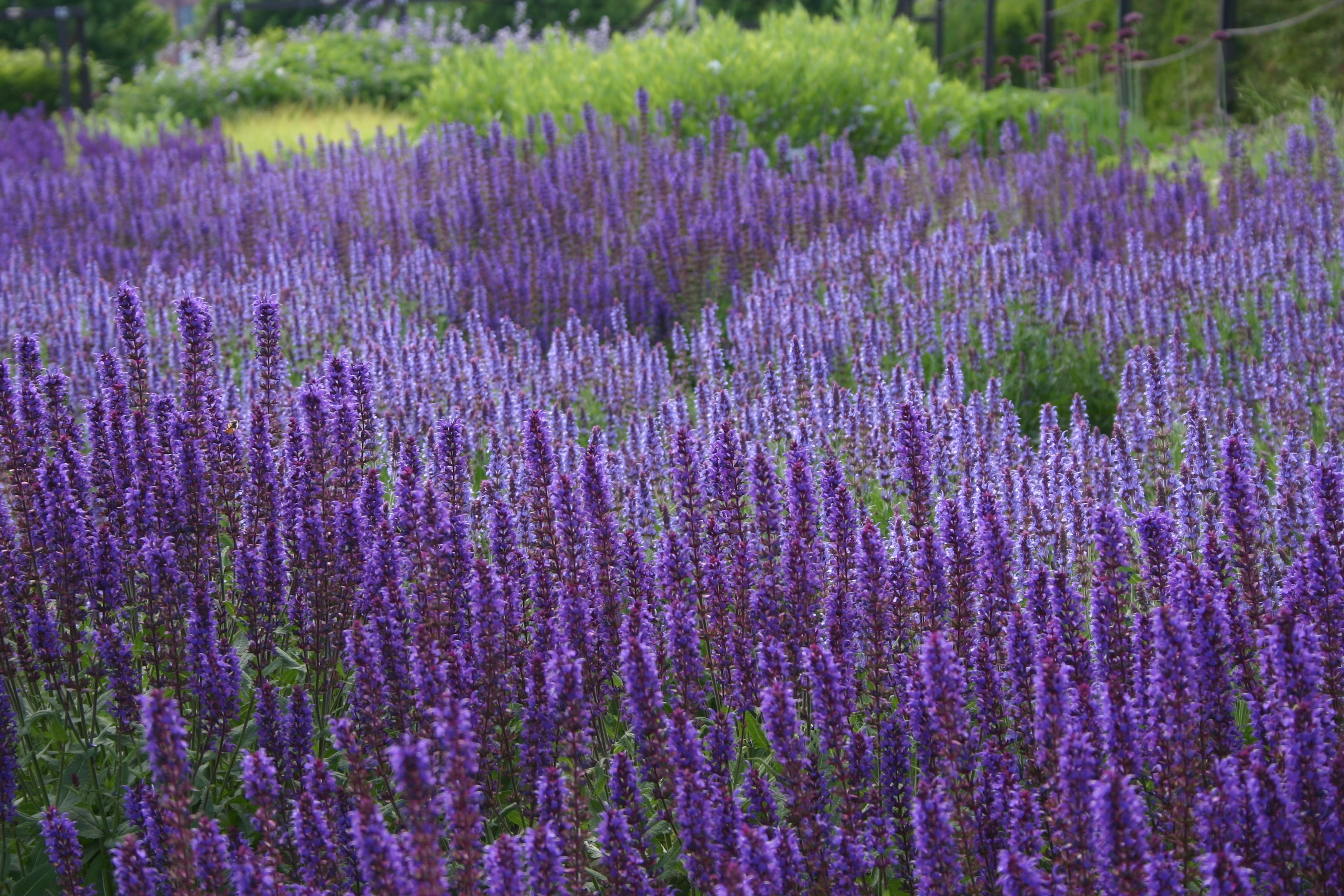 Photo by cosoproductions