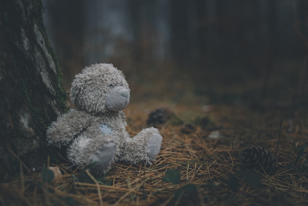 gray bear plush toy on brown dried leaves