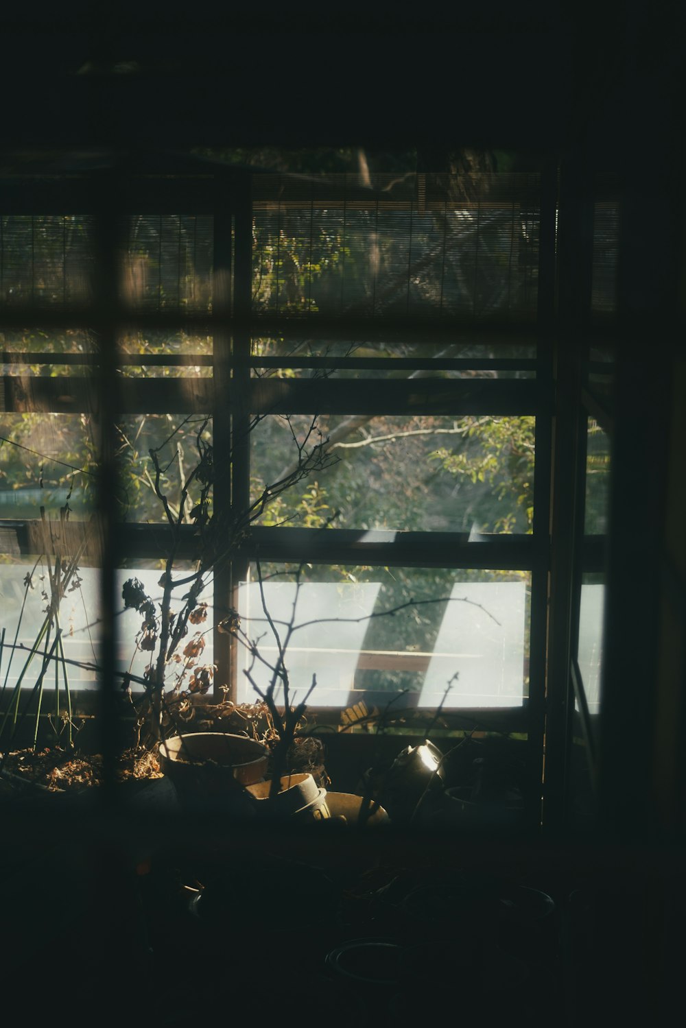 green plants on brown wooden table