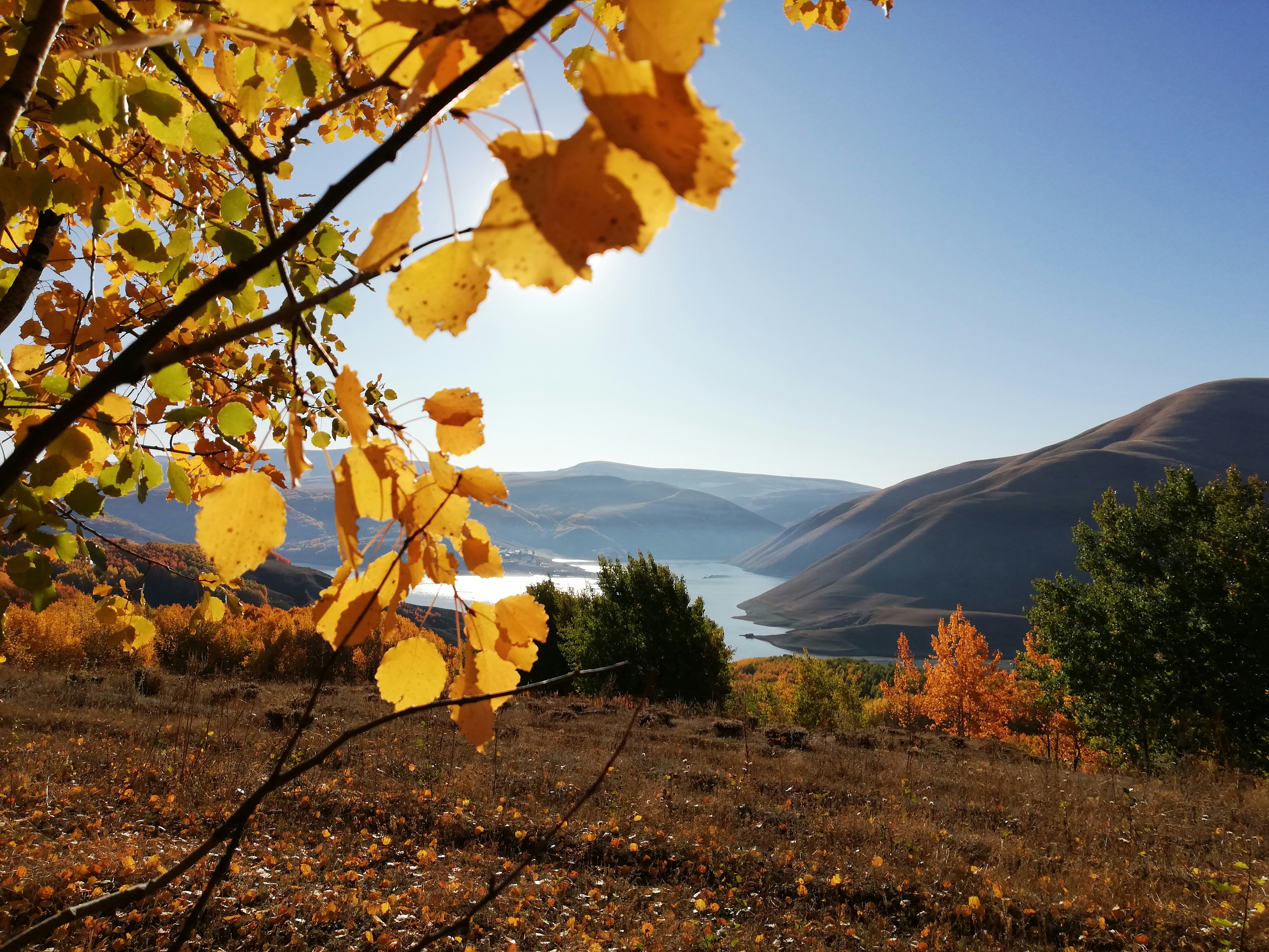 Photo by nurallah_tr