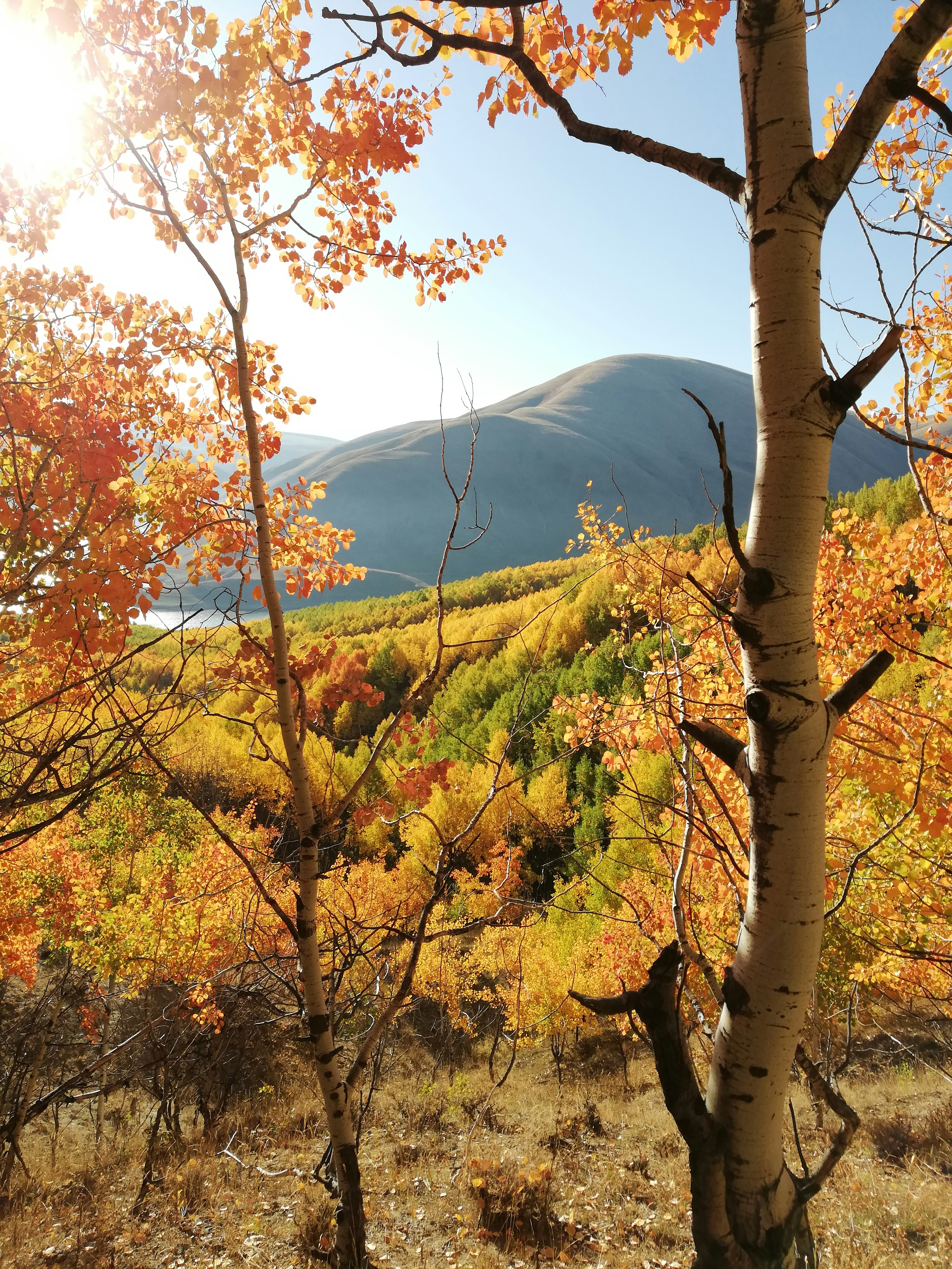 Photo by nurallah_tr