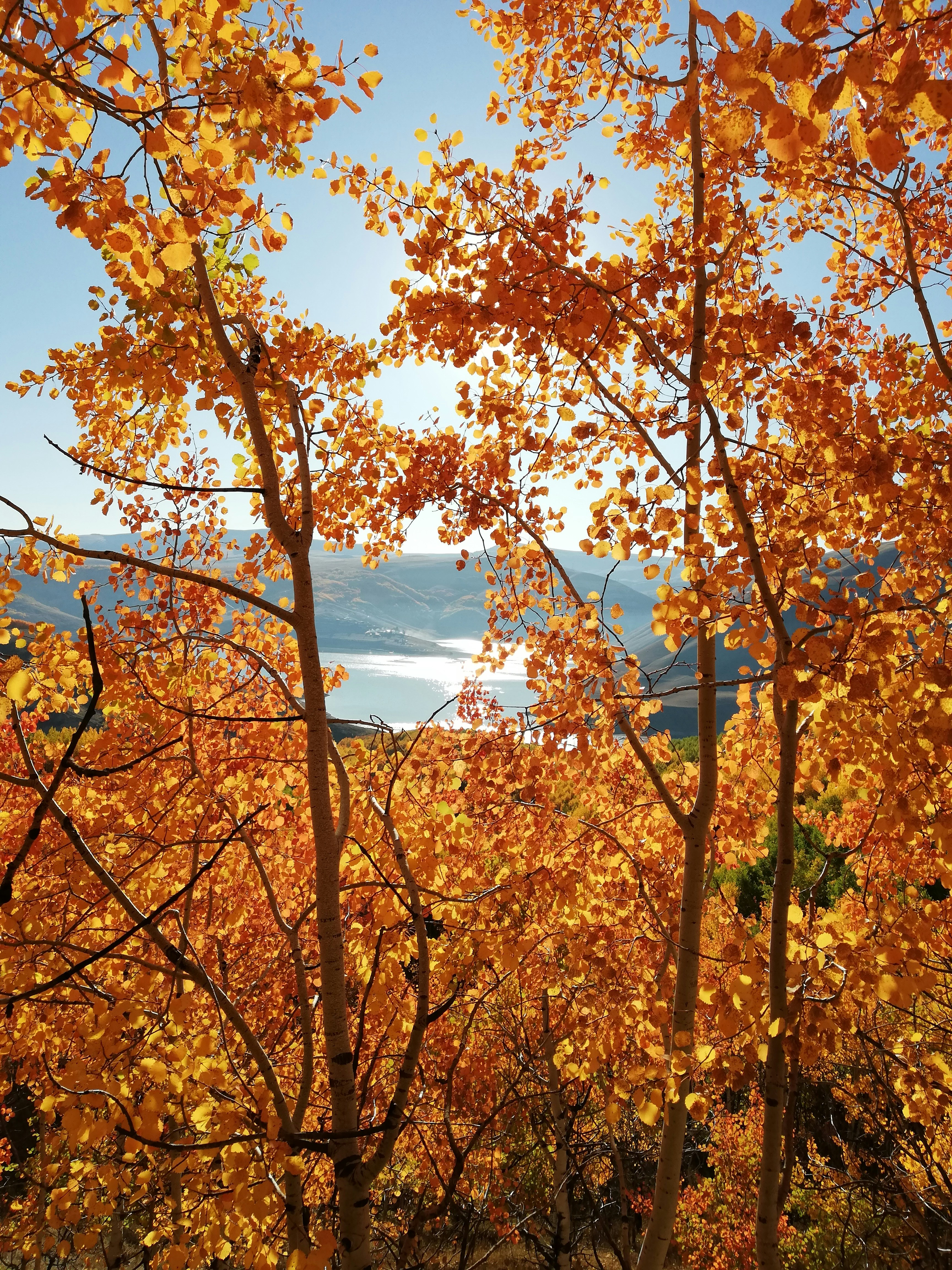 Photo by nurallah_tr