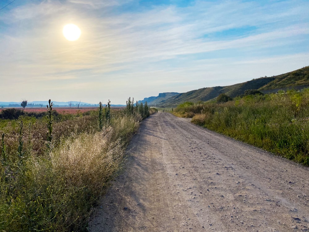 brown dirt road between green grass field under blue sky during daytime