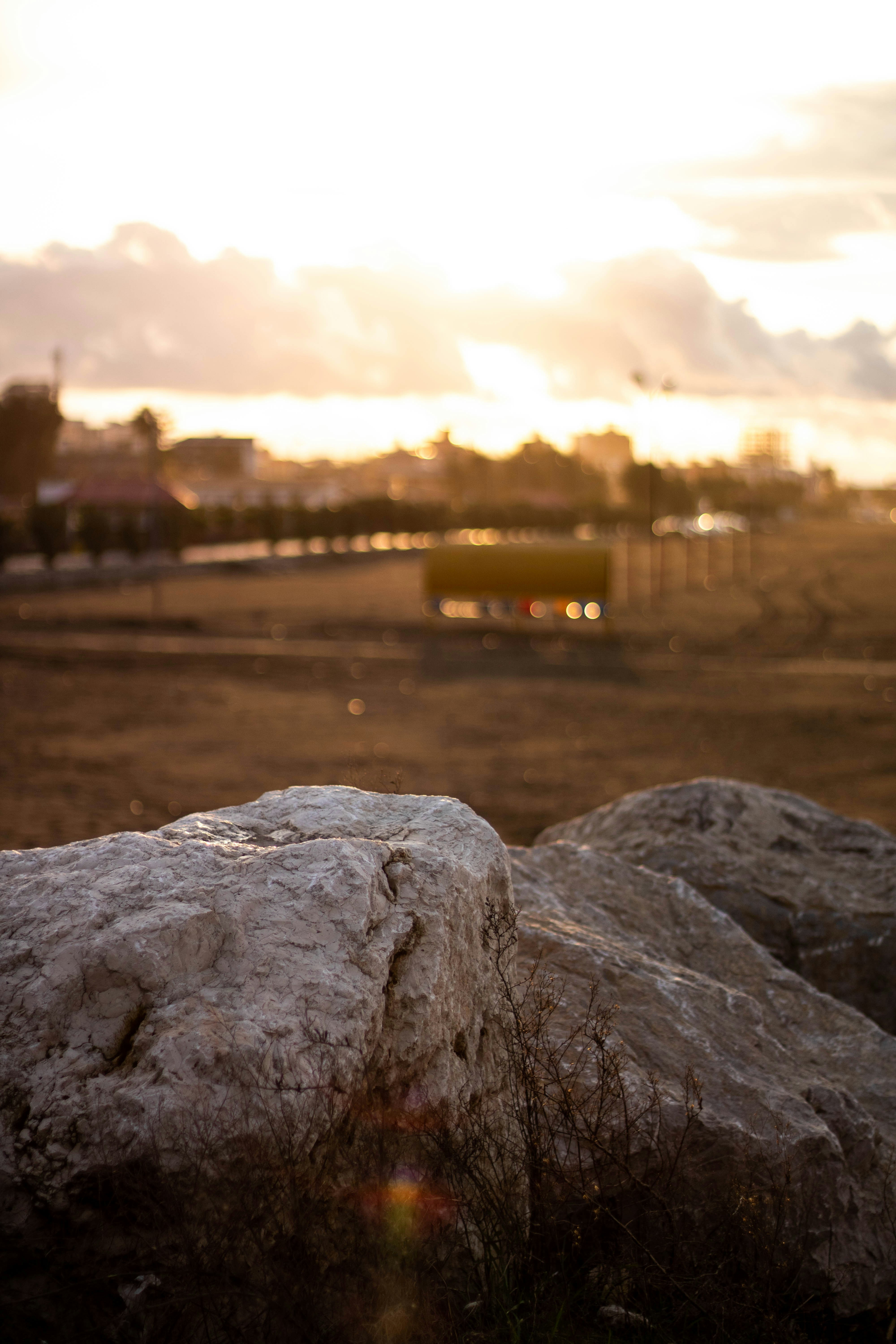 Photo by blueswallow