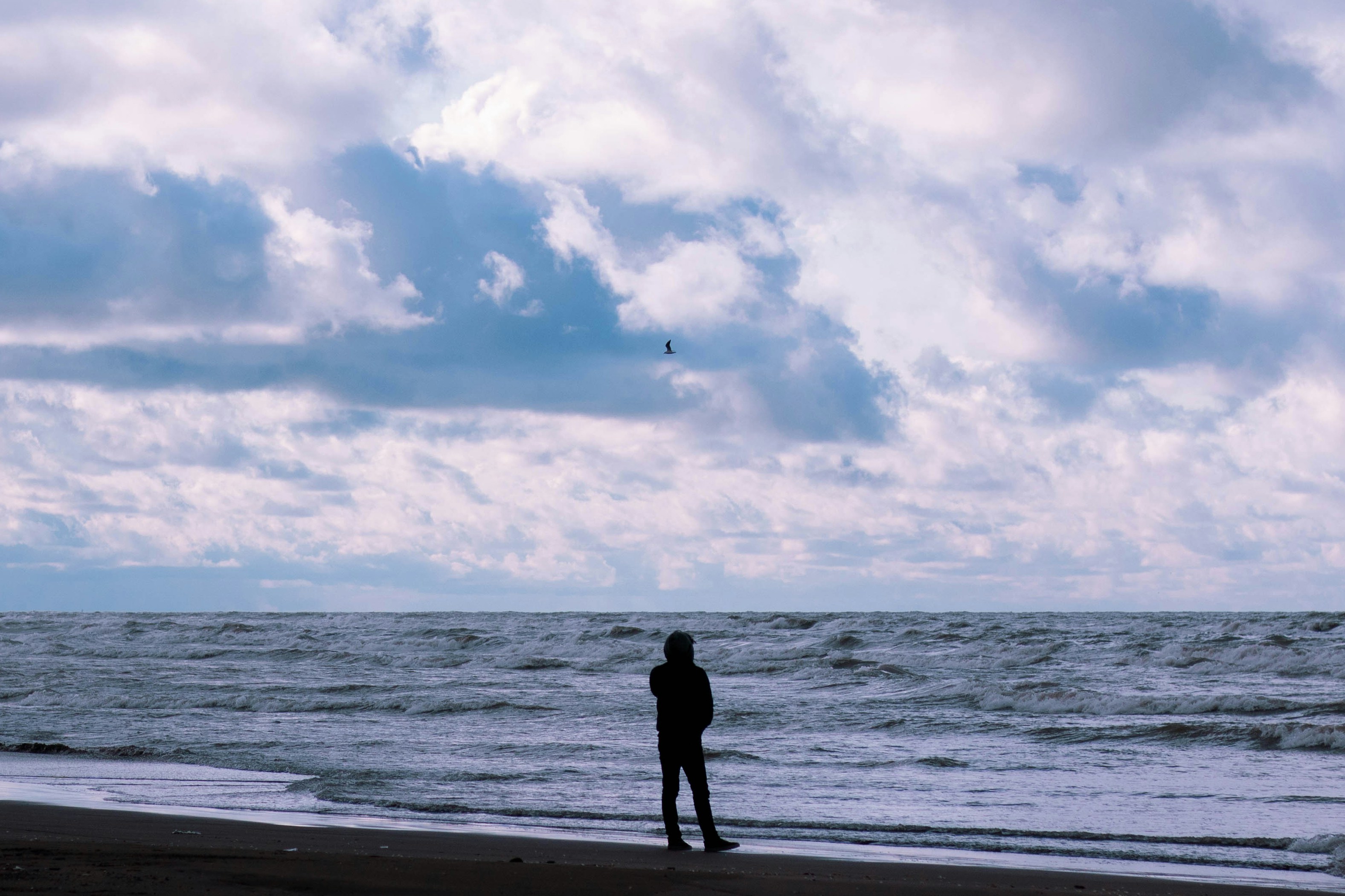 Photo by blueswallow