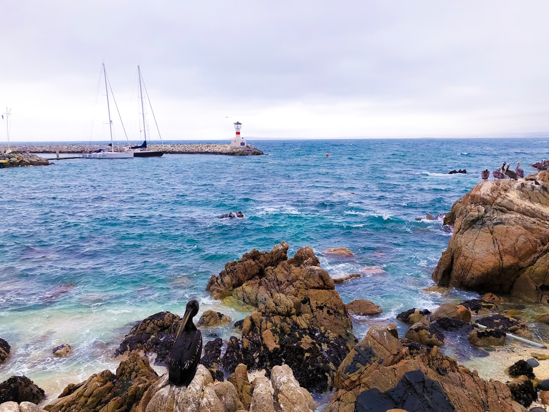 Travel Tips and Stories of ViÃ±a del Mar in Chile